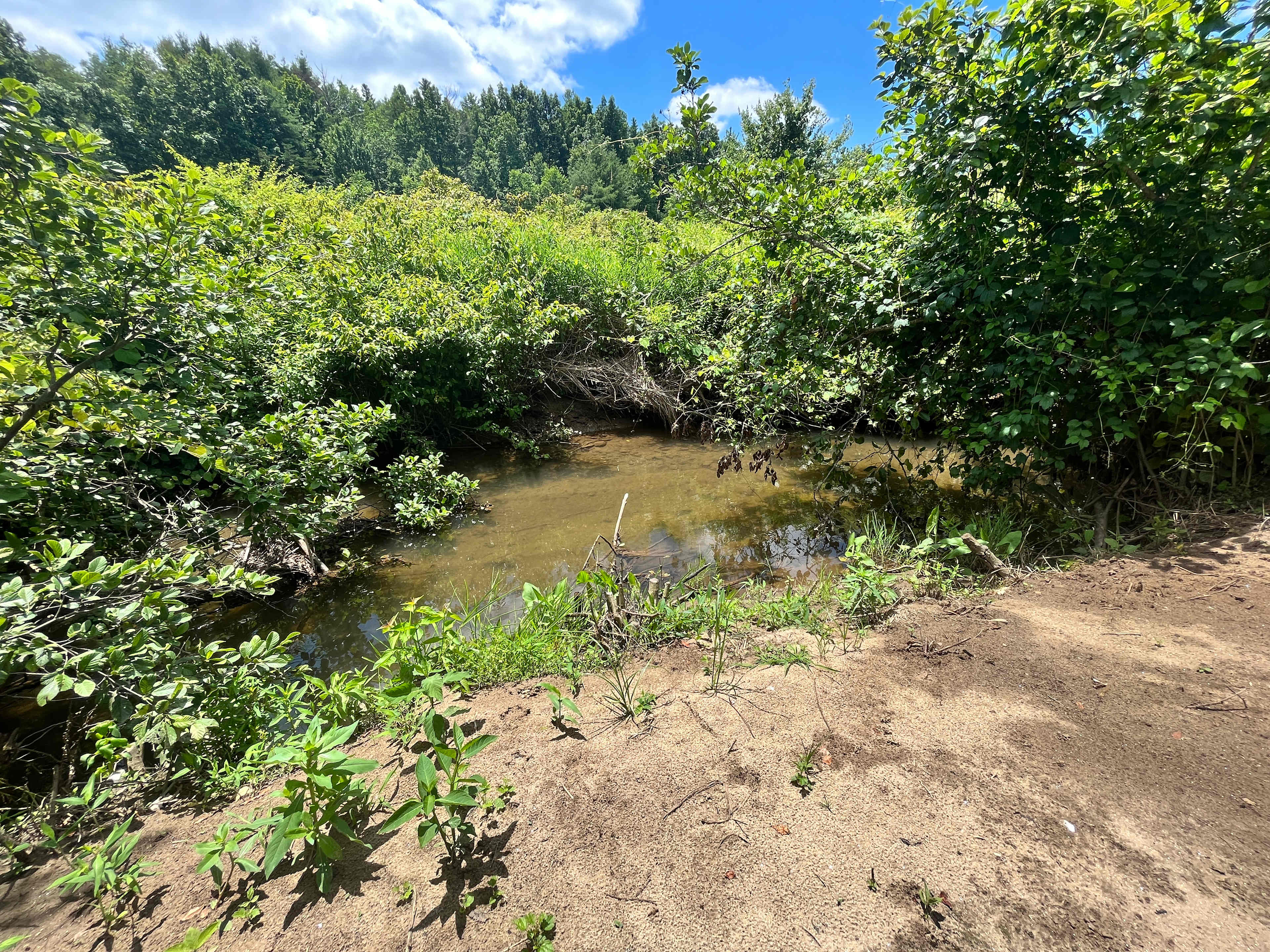 Picture of the site