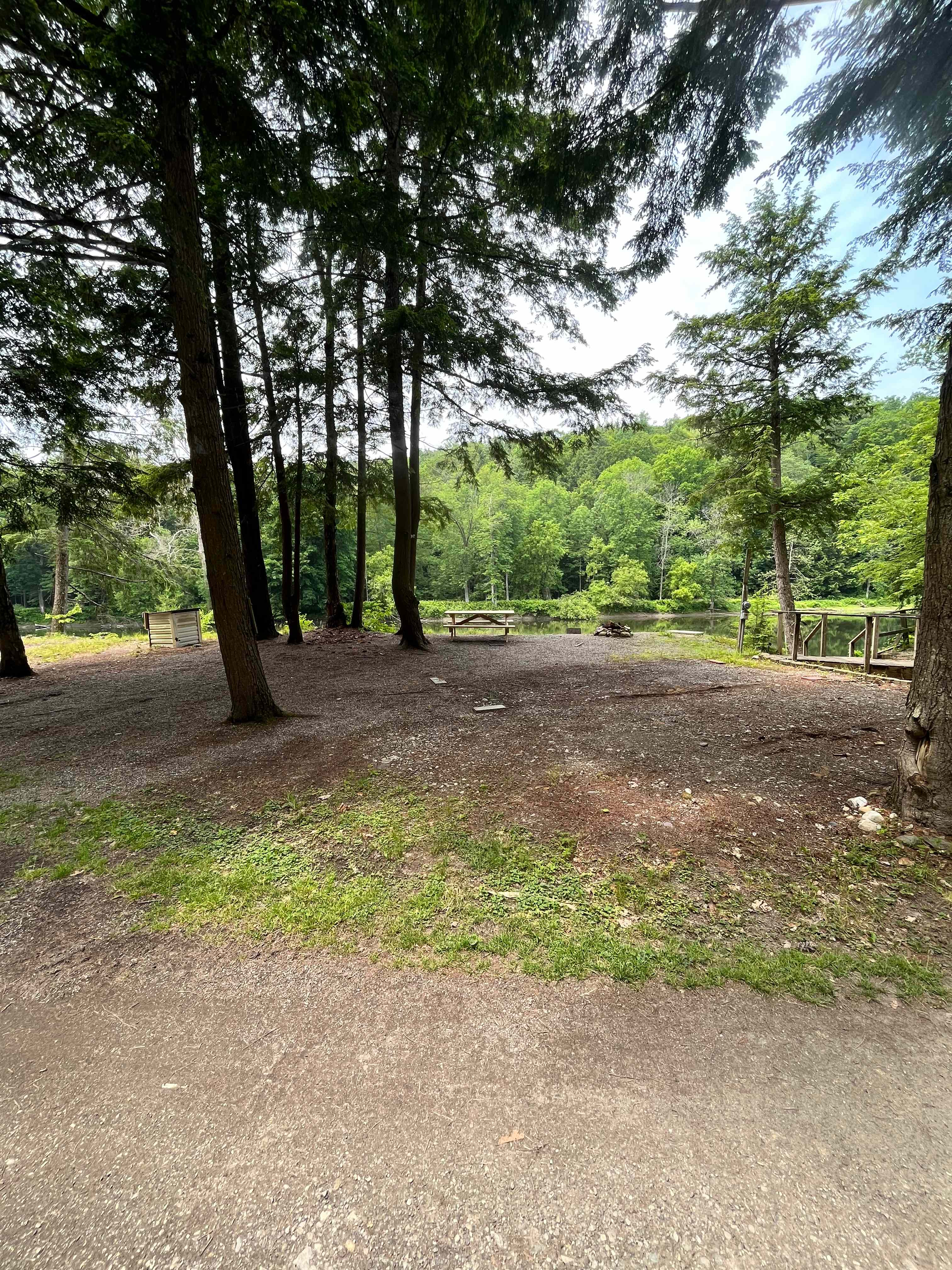 Picture of the site