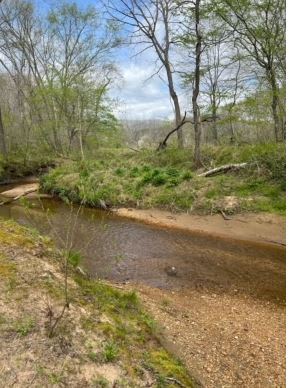 Bills Creek, Lake Lure