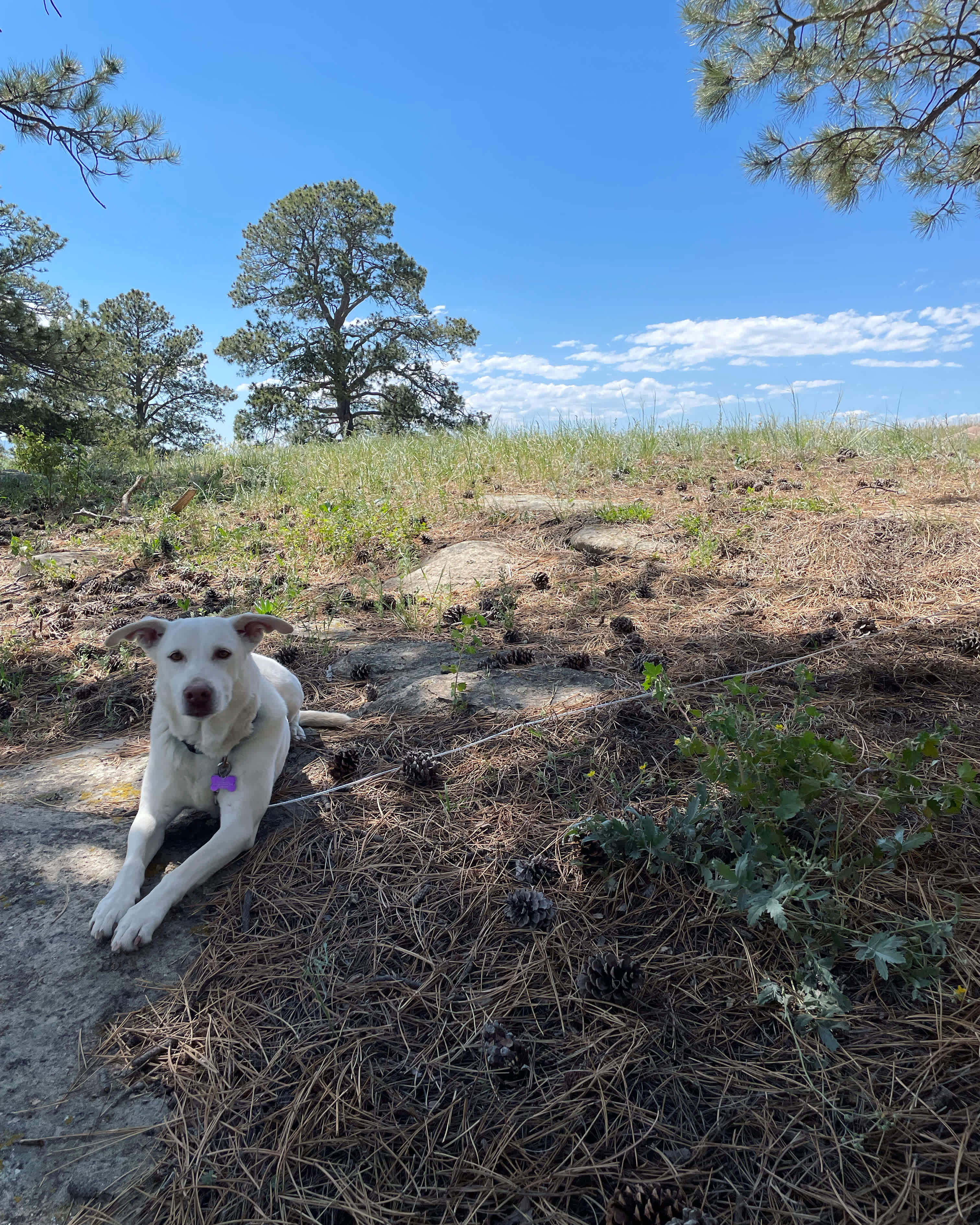 Rockridge Ranch