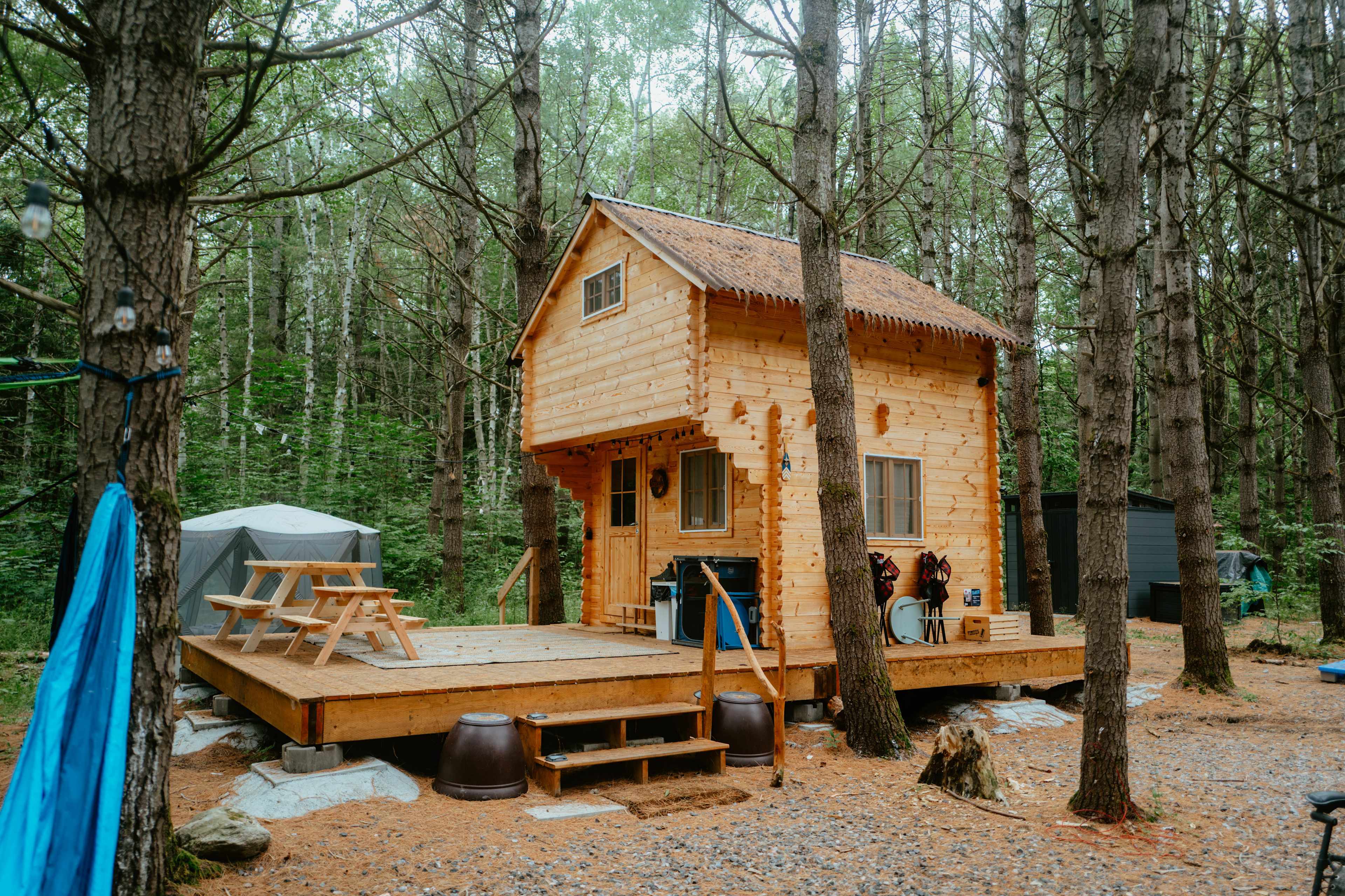 Sabrina's cozy cabin in the woods!
