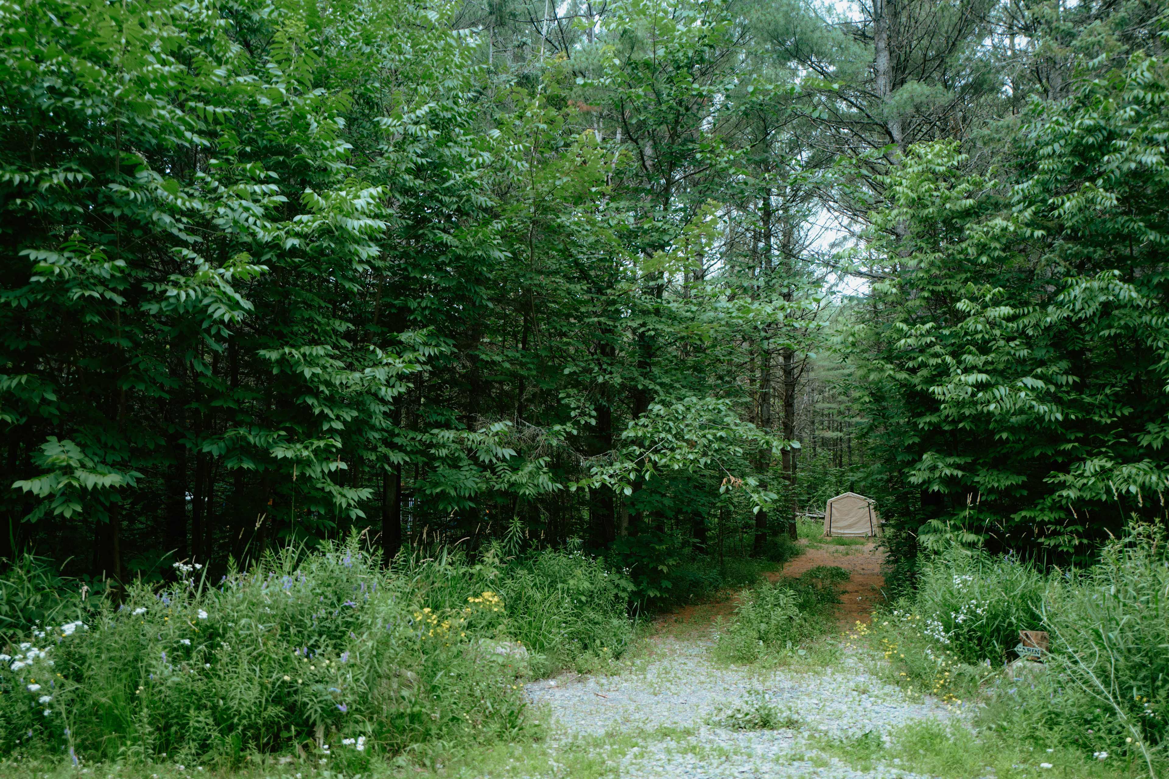 the entrance to the cabin. nestled within the forest, relaxation awaits!