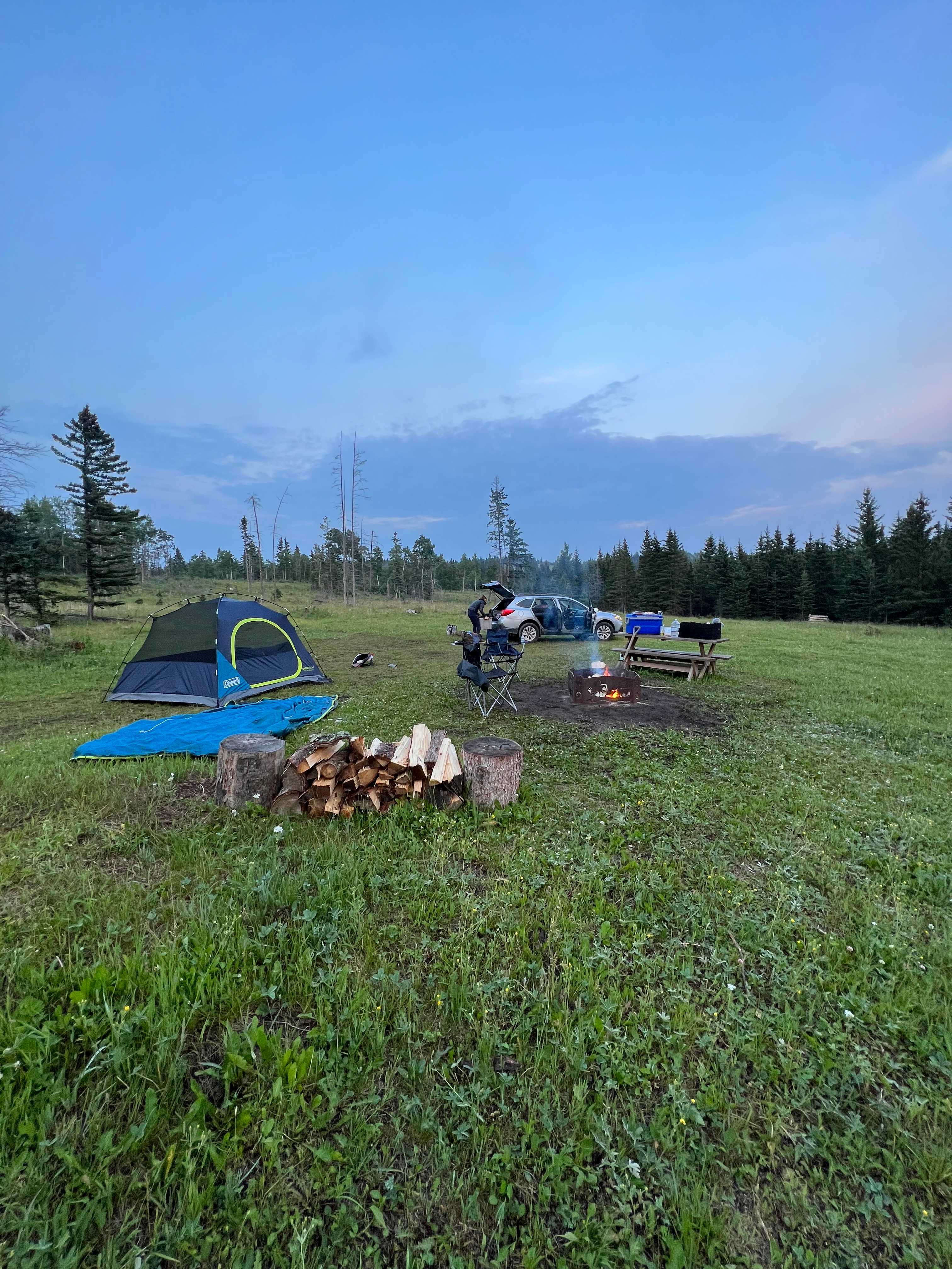 Picture of the site