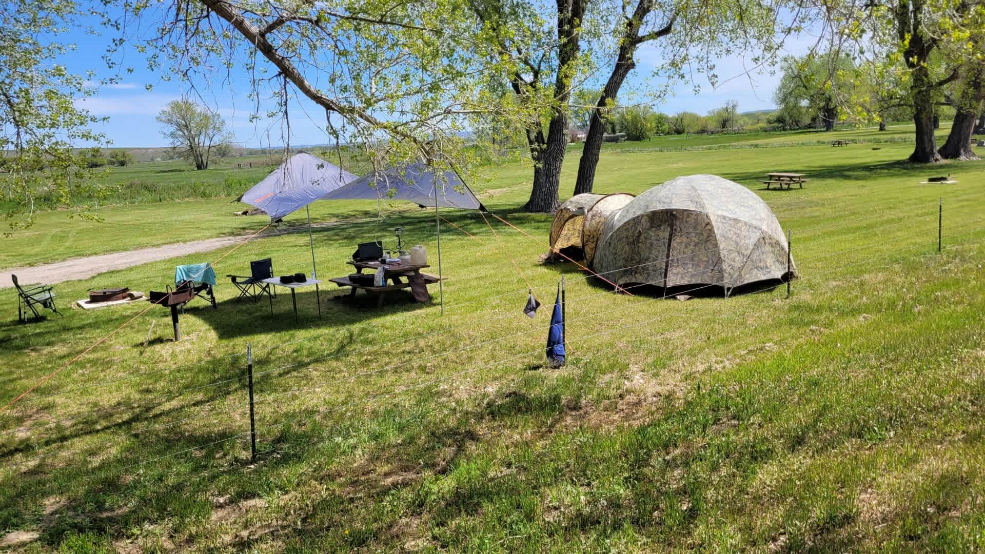 Picture of the site
