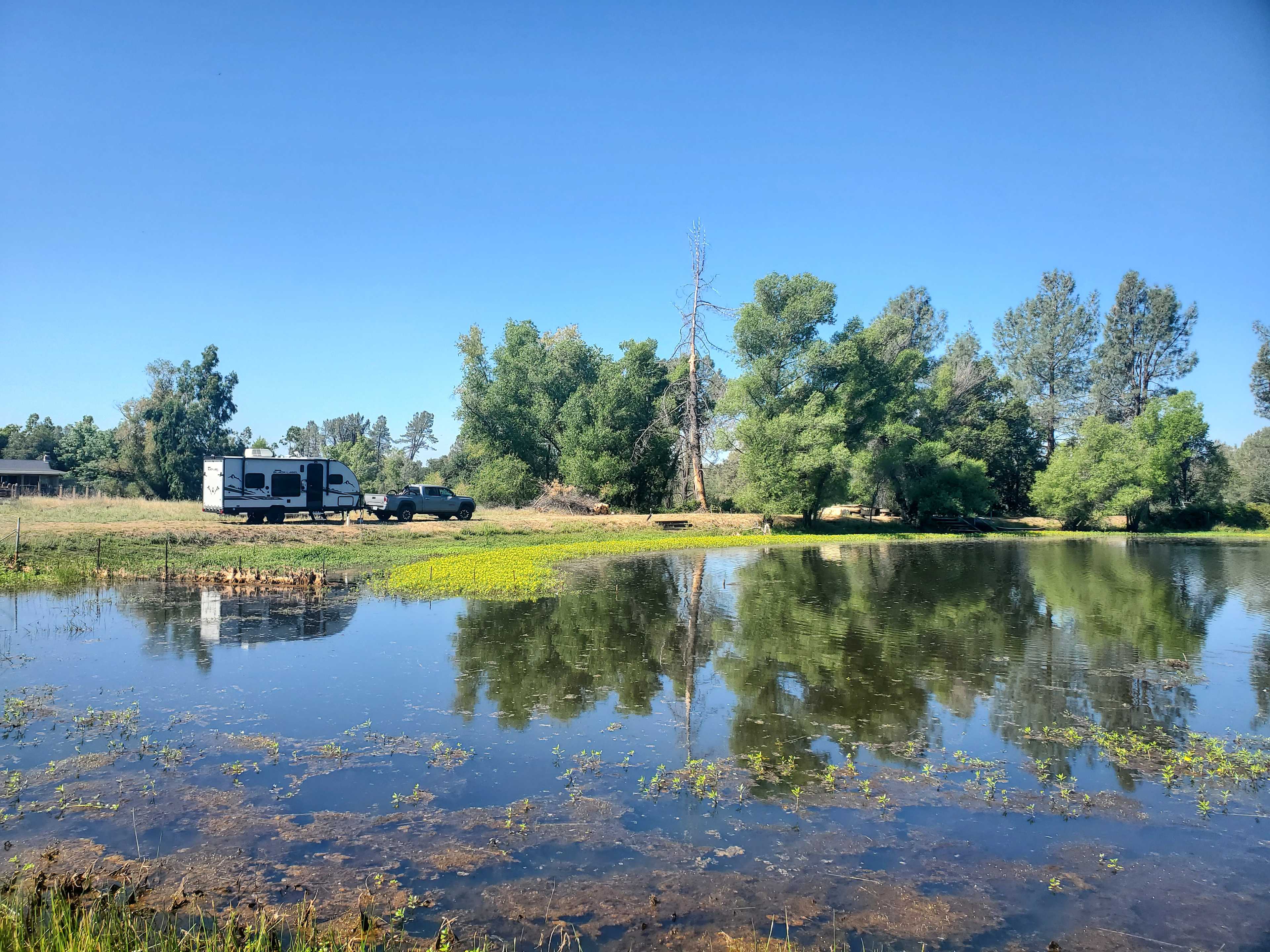 Bass Fishing Paradise-Open and Easy
