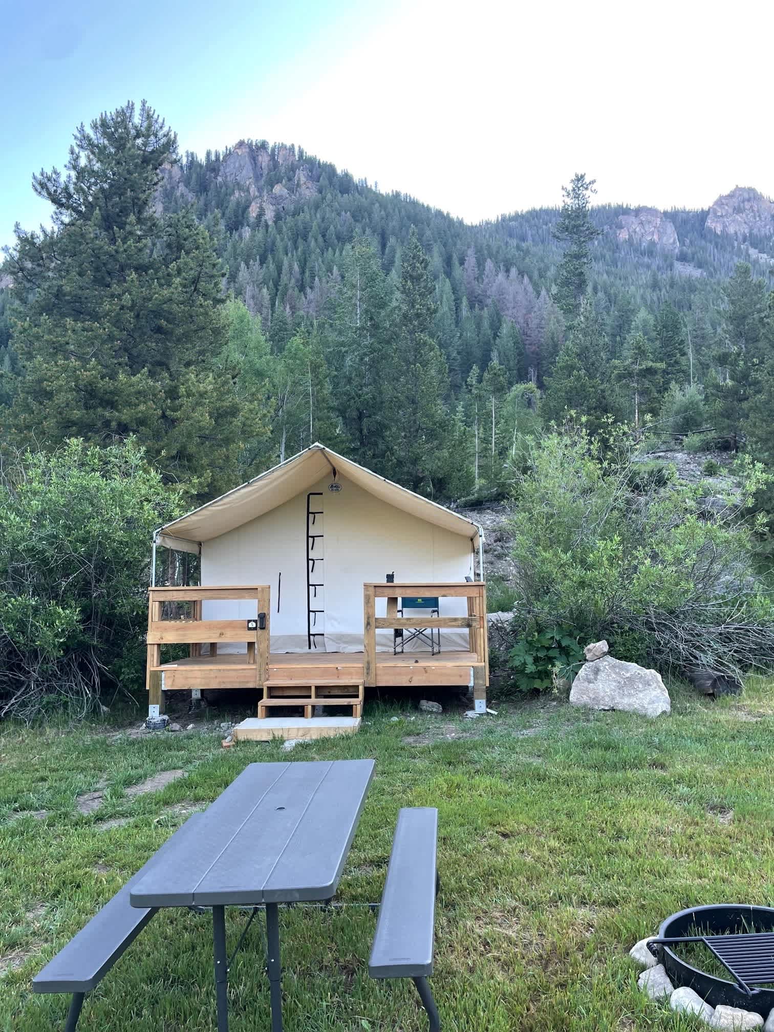 Picture of the site