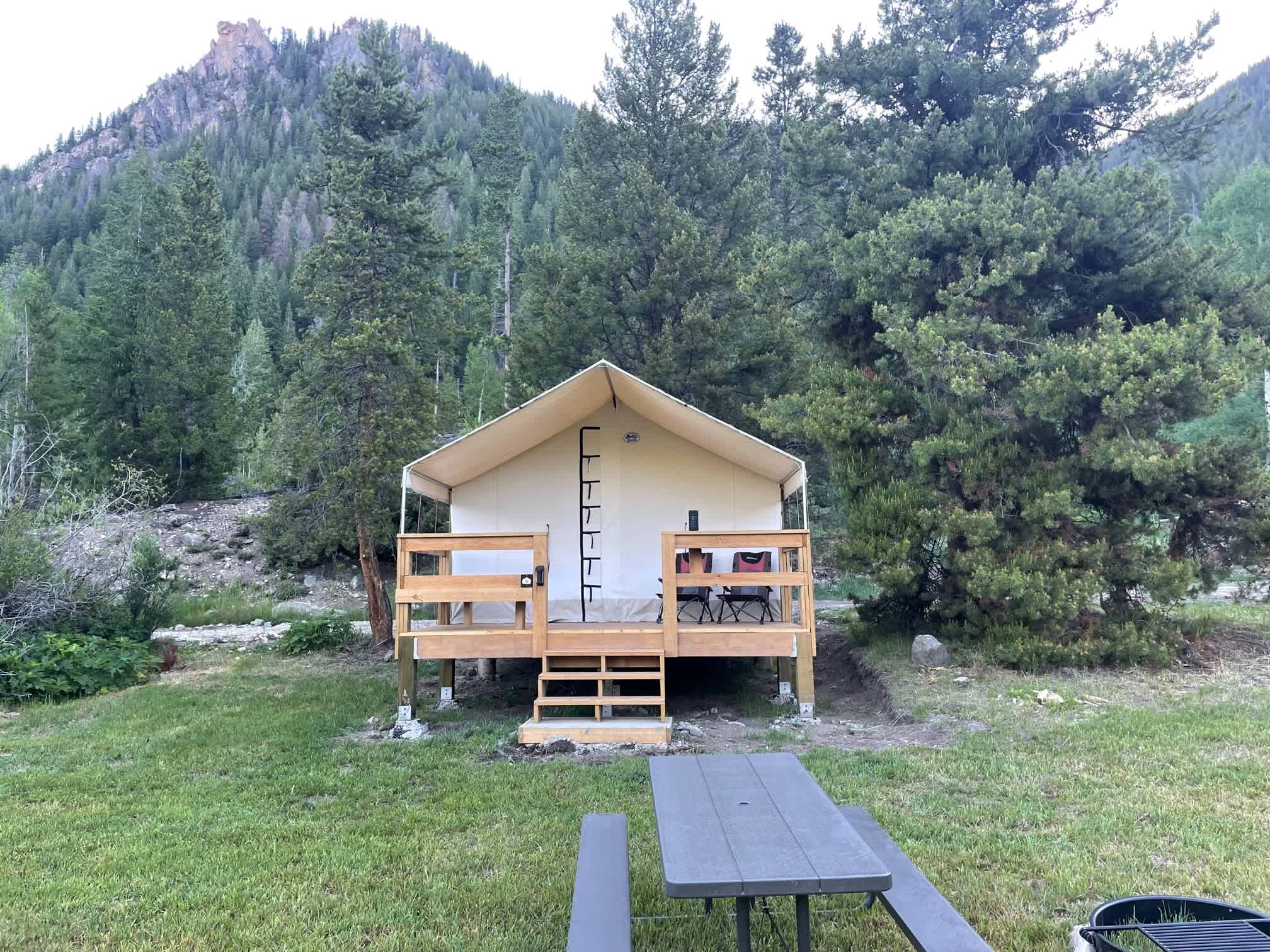 Picture of the site