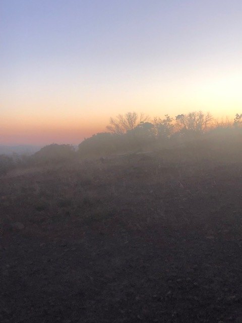 Sunset Colors