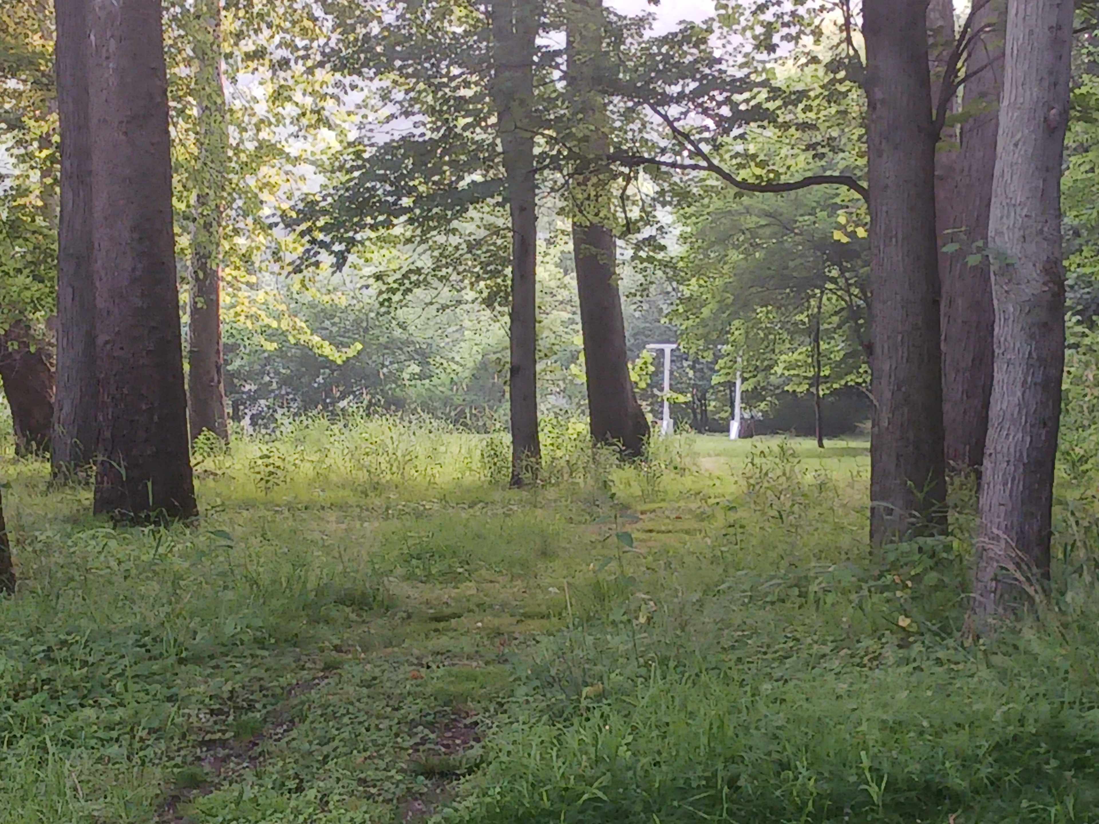 The Haven with 5 Camp sites