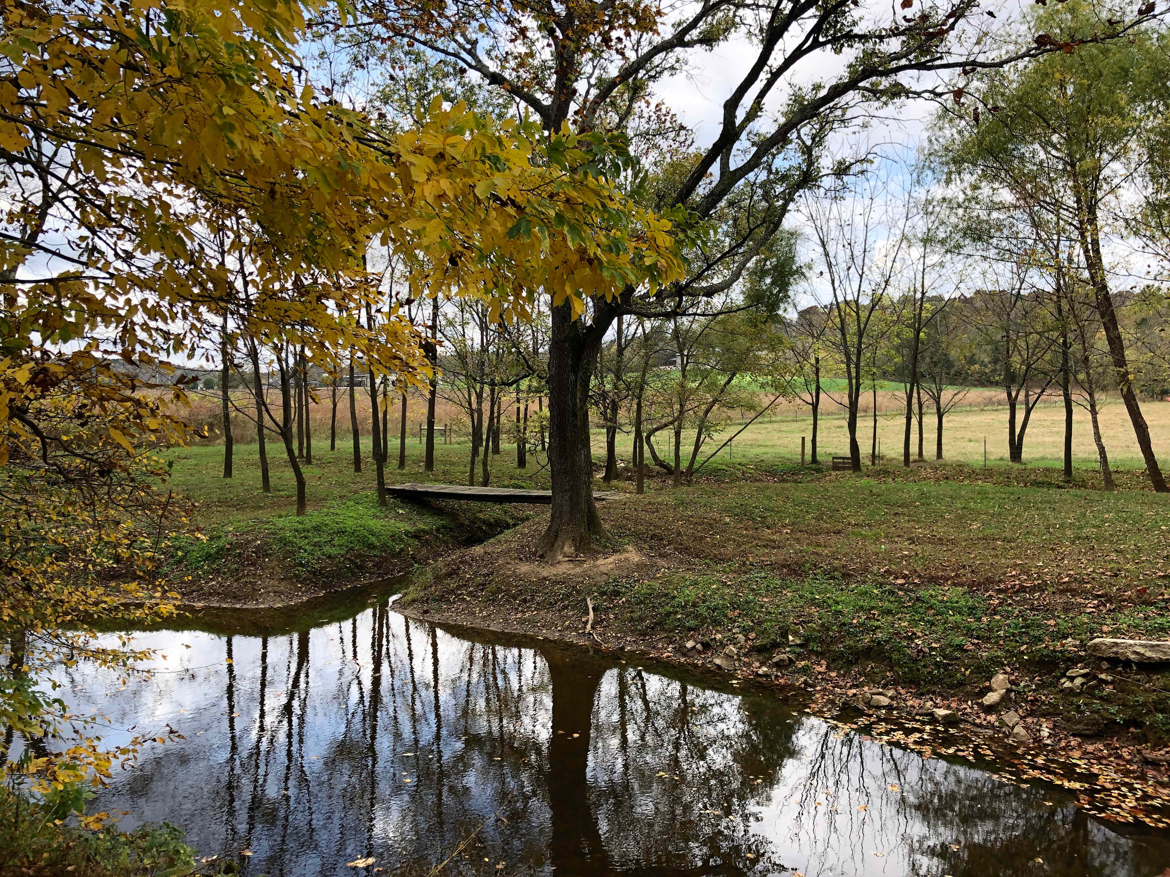 Happy Hollows Farm