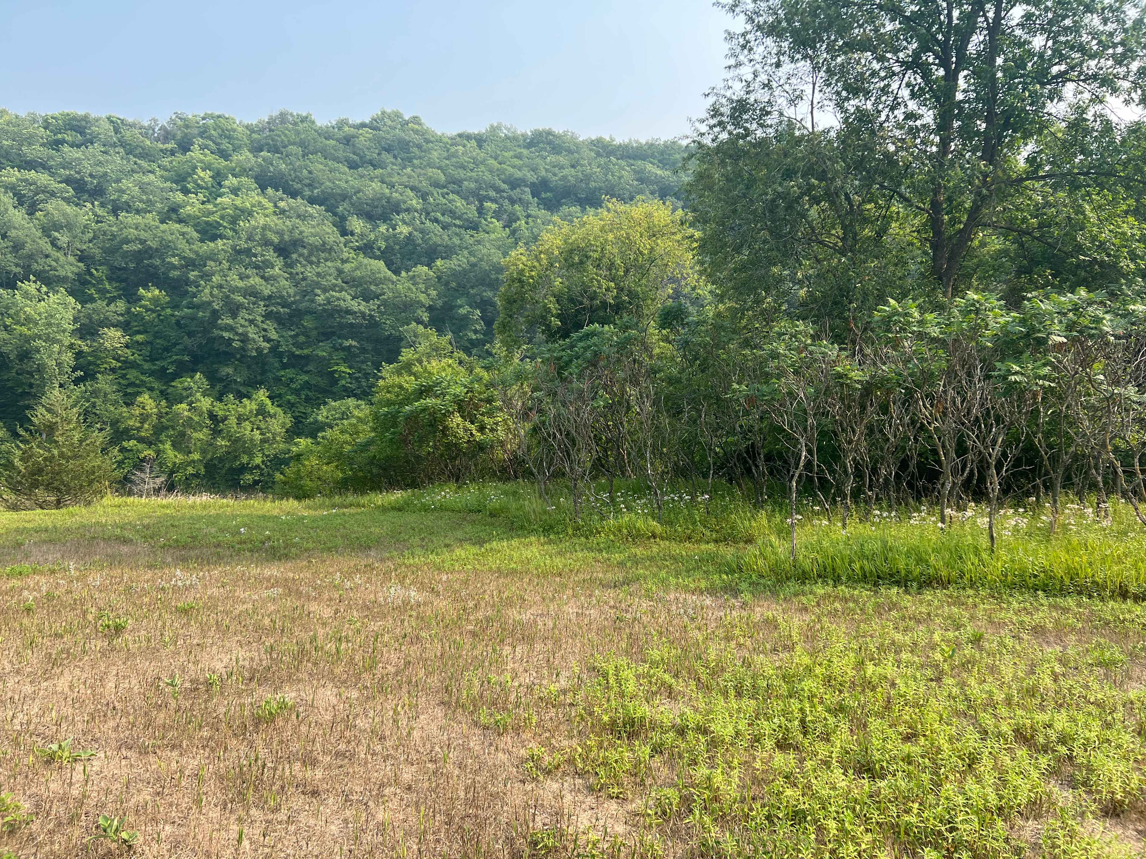 East camp site area 