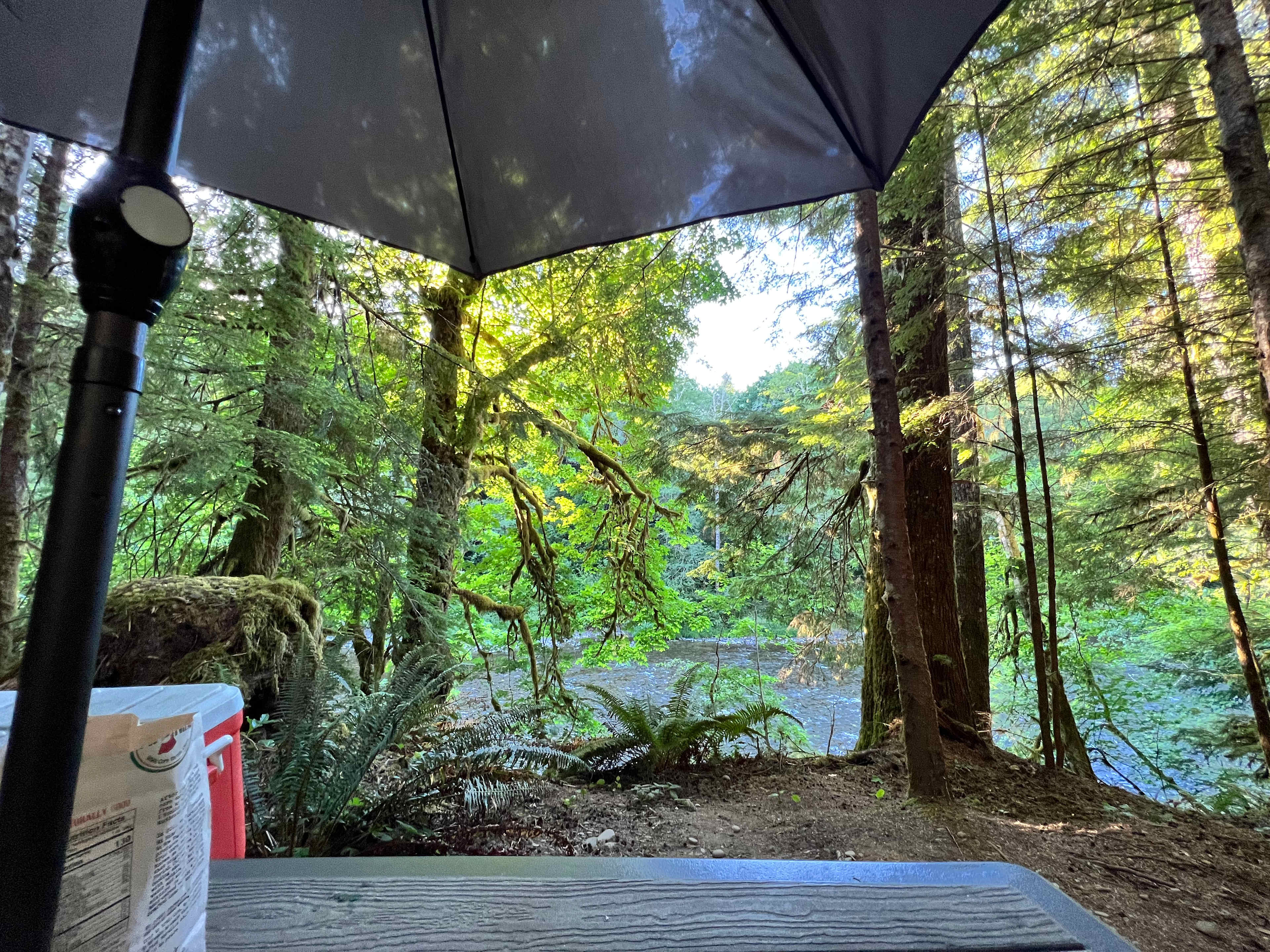 River view from your picnic table!