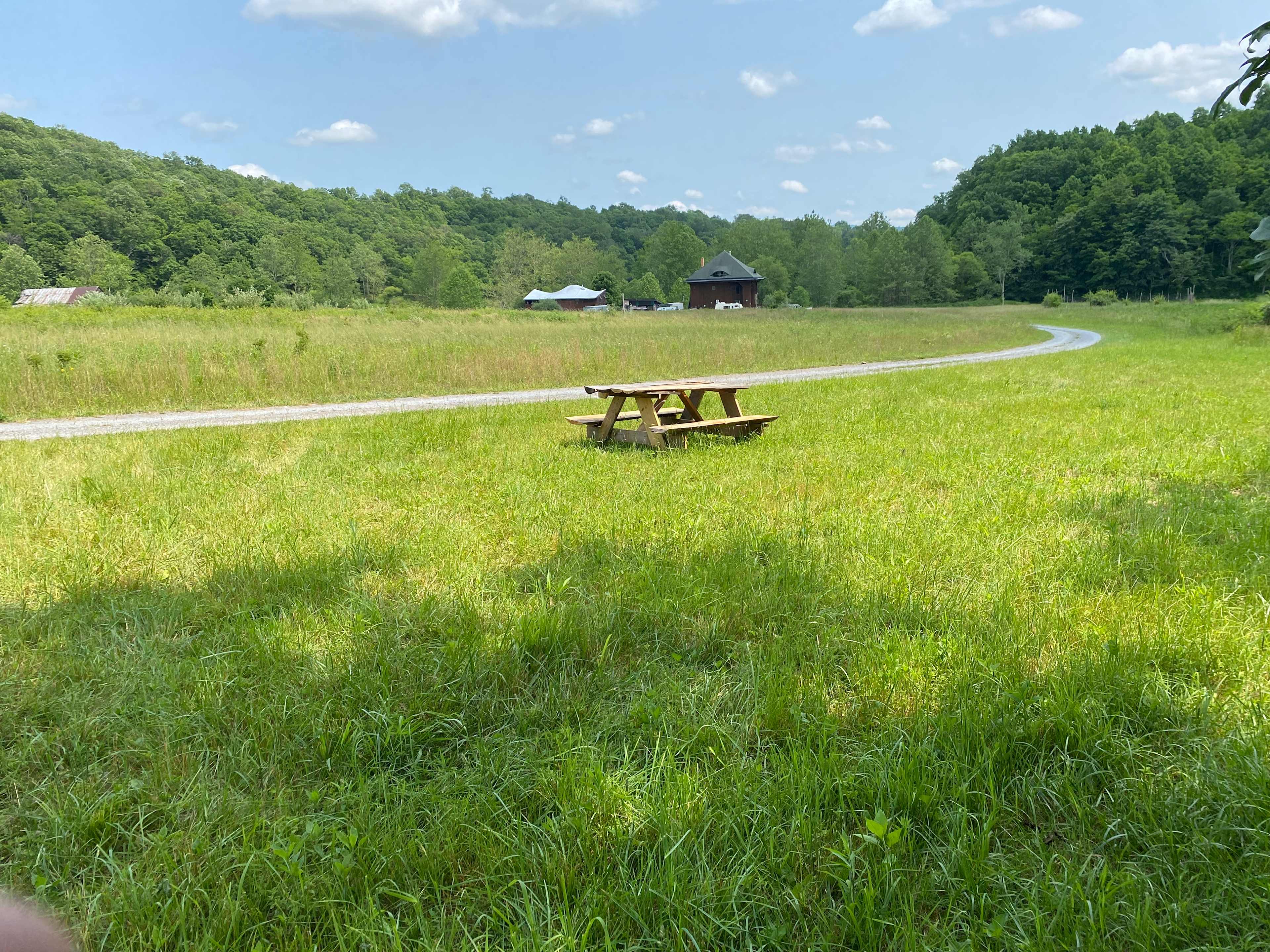 Picture of the site