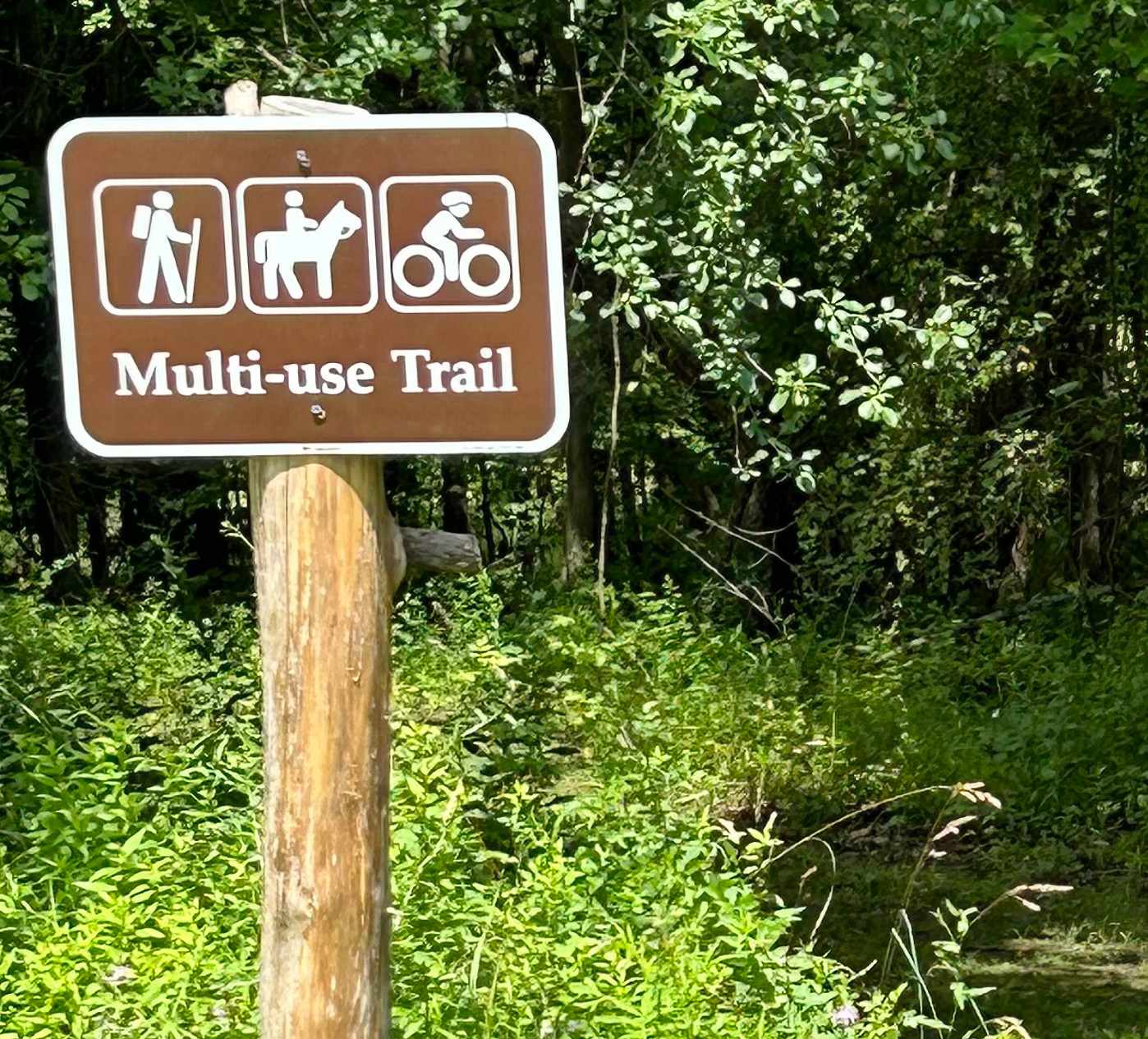 The Dominion House Farm and Trails