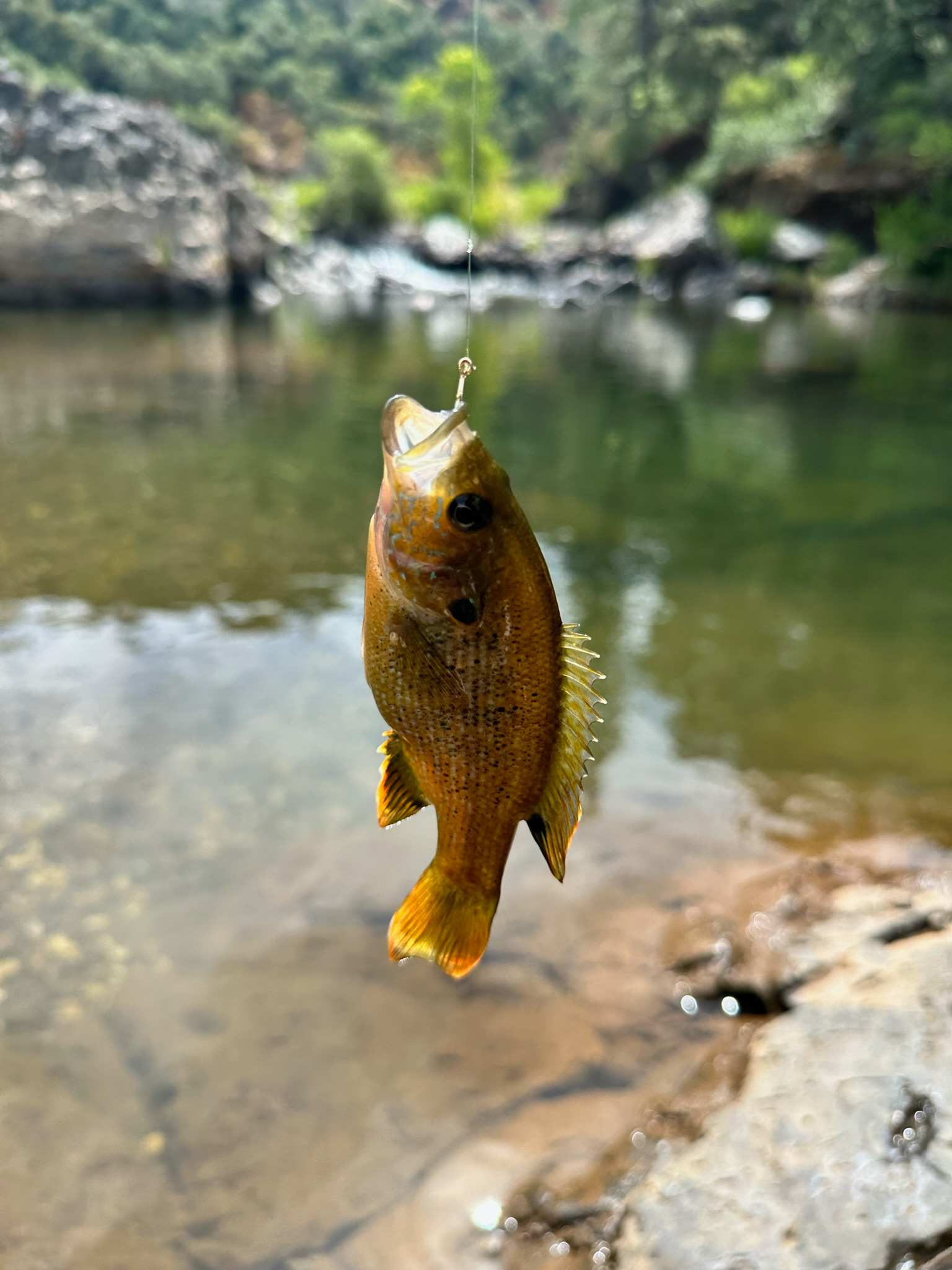 Private River Oasis