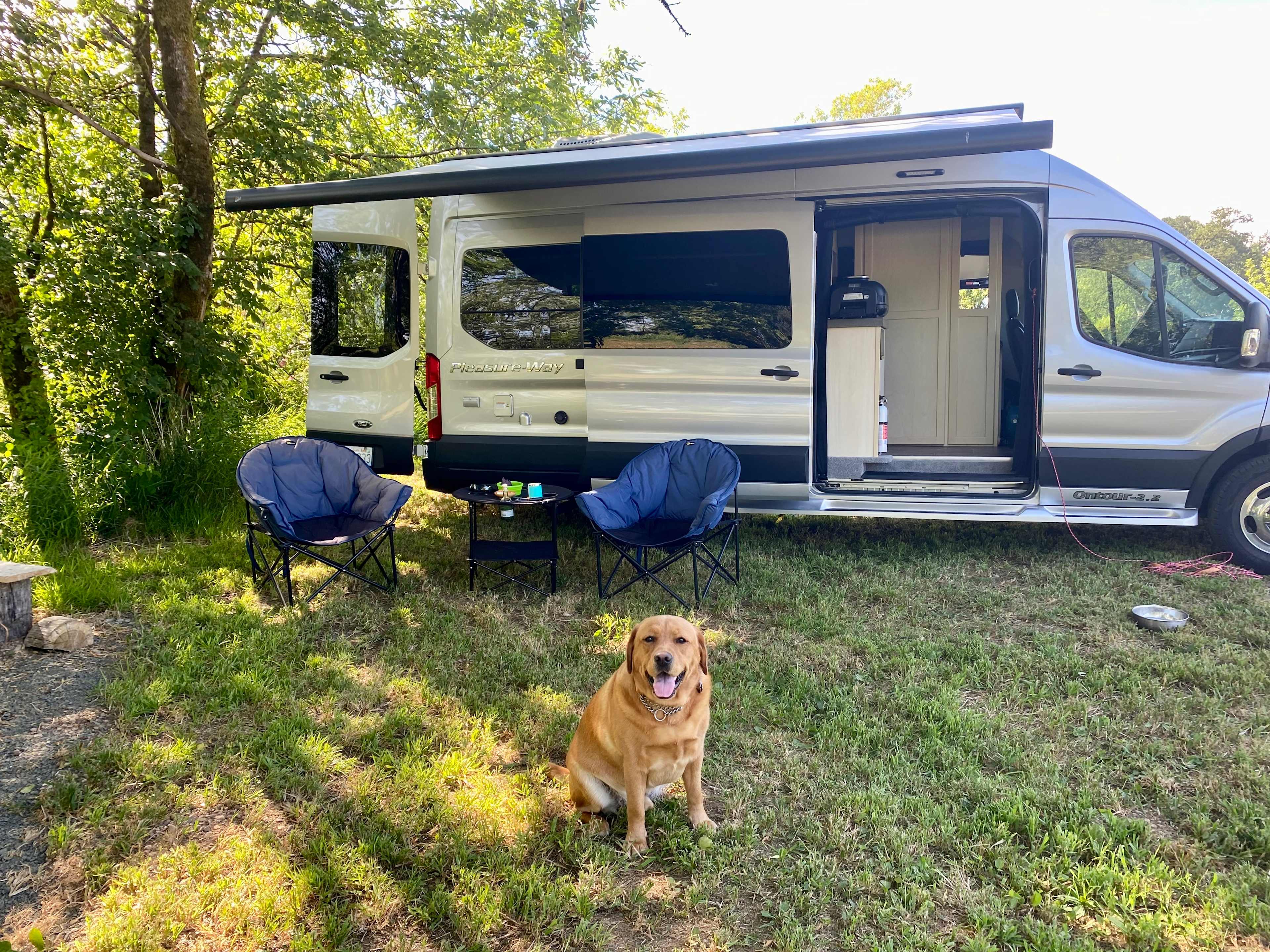 Camp Birdwatch