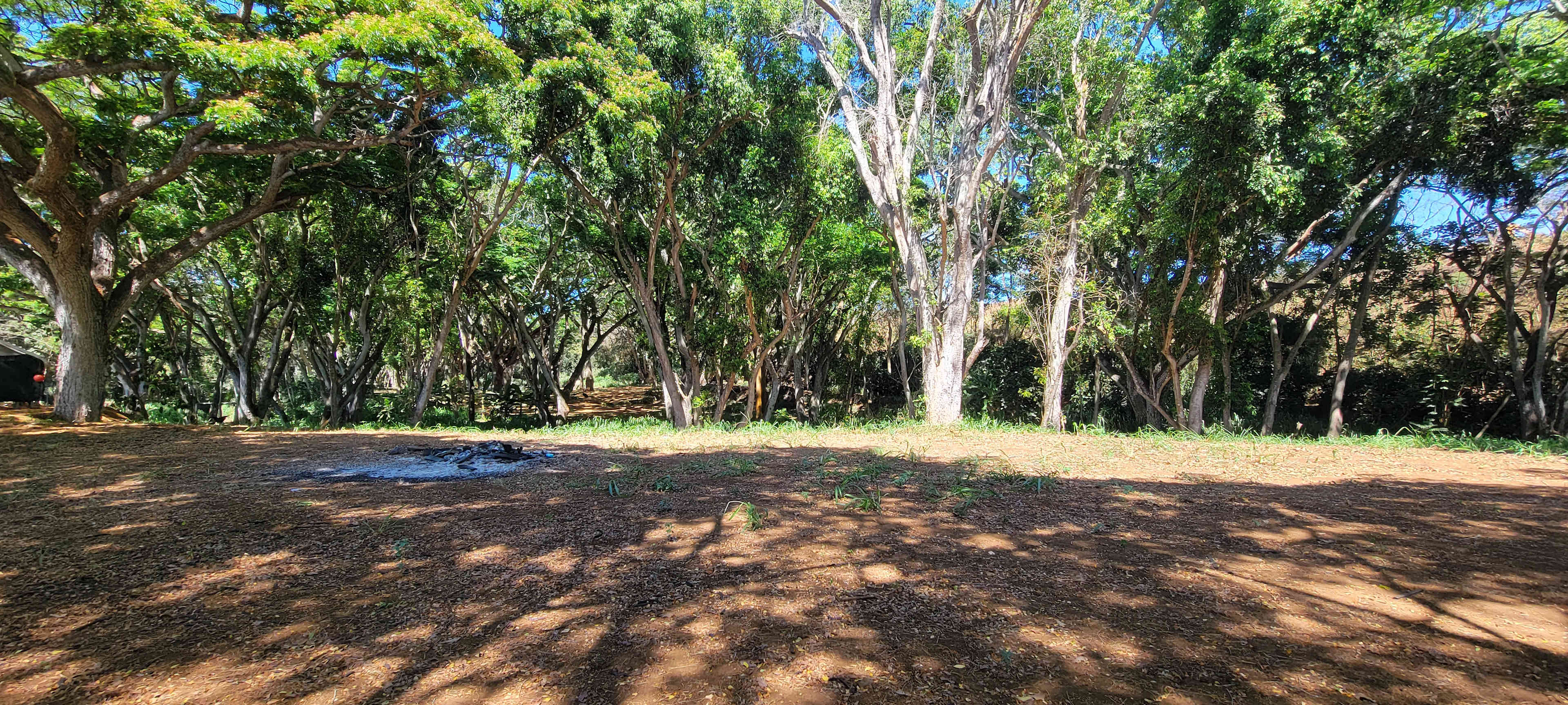 Aloha Family Farms