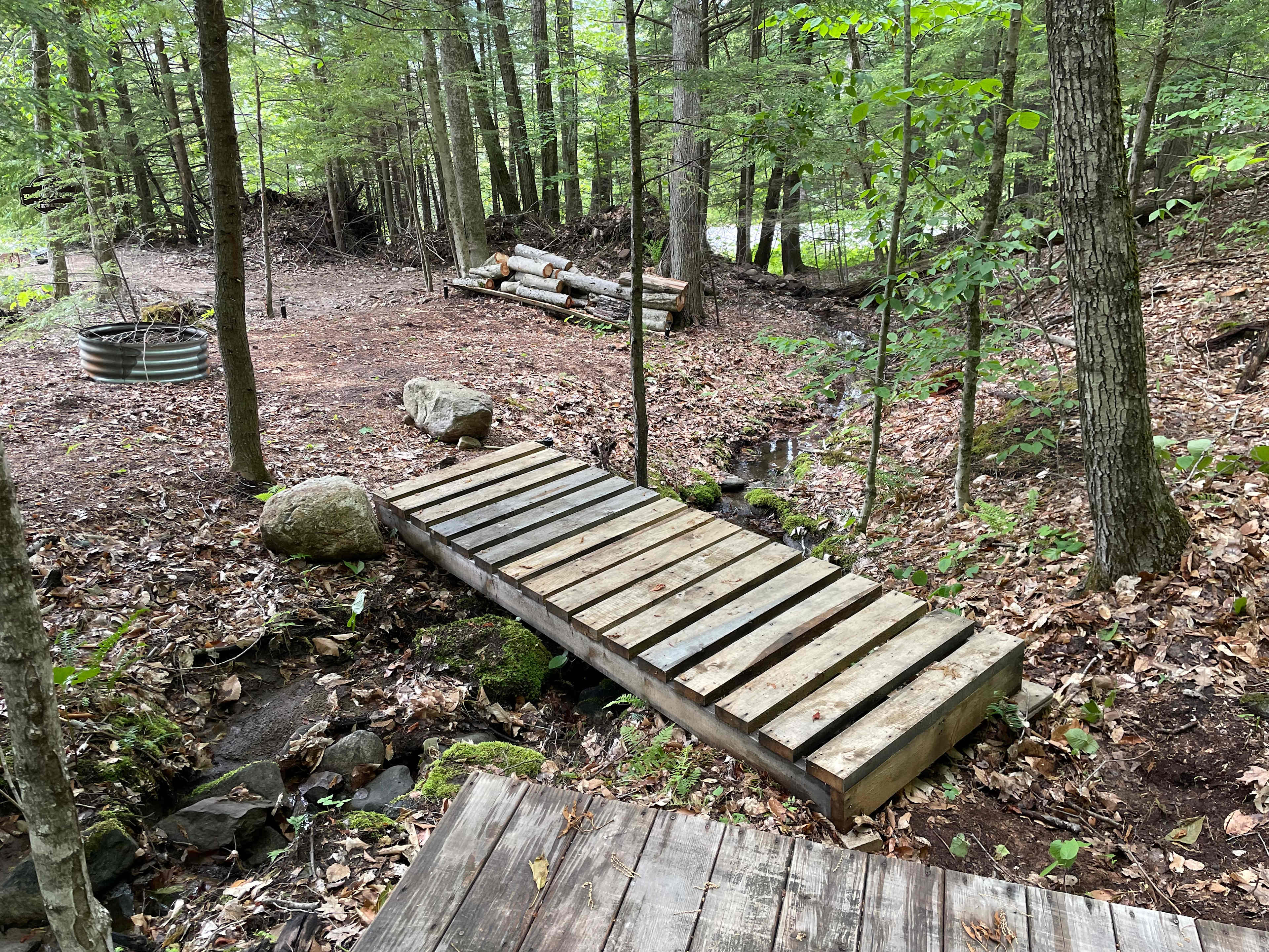 Picture of the site