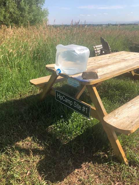 Picture of the site