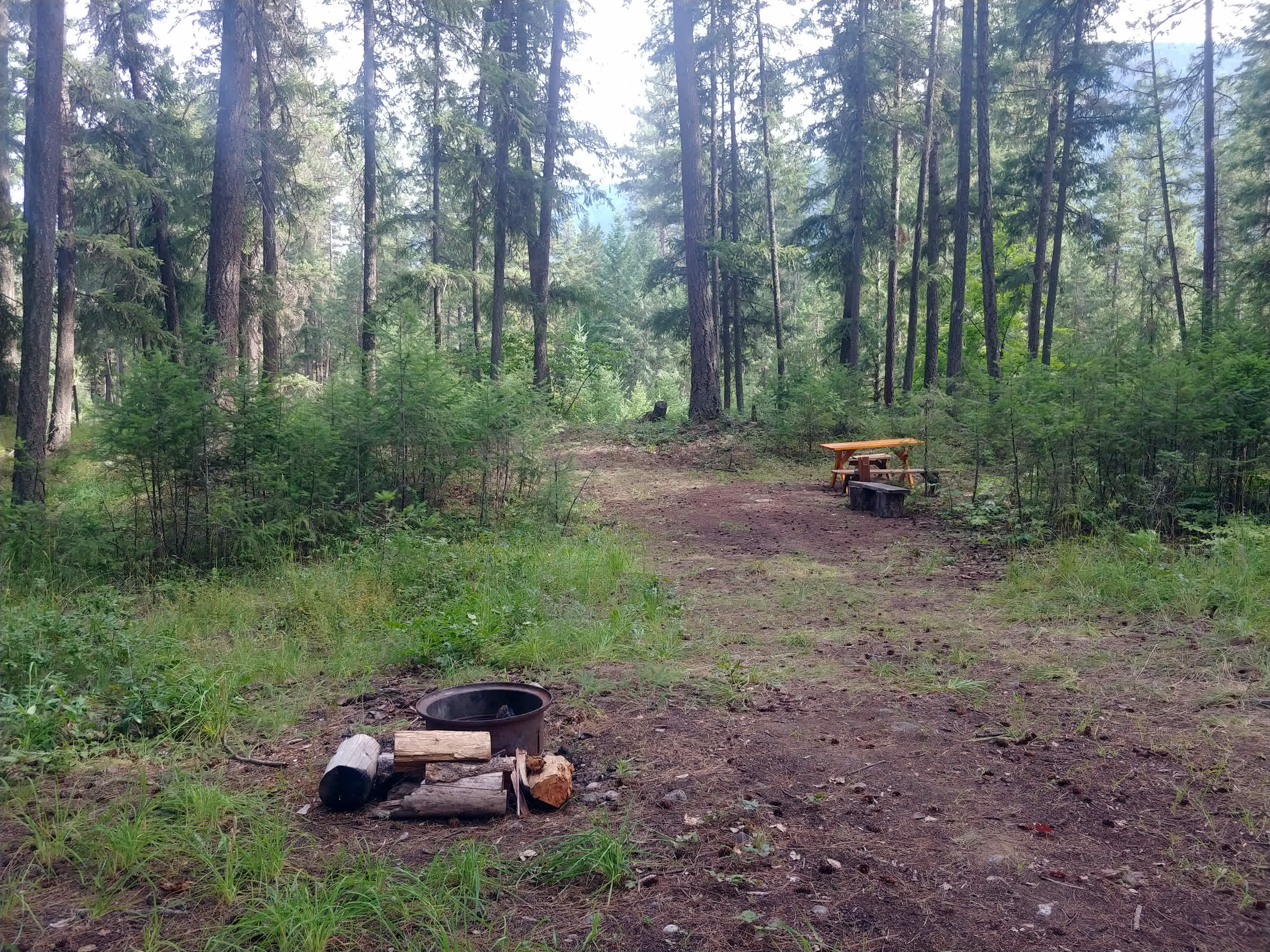 Picture of the site