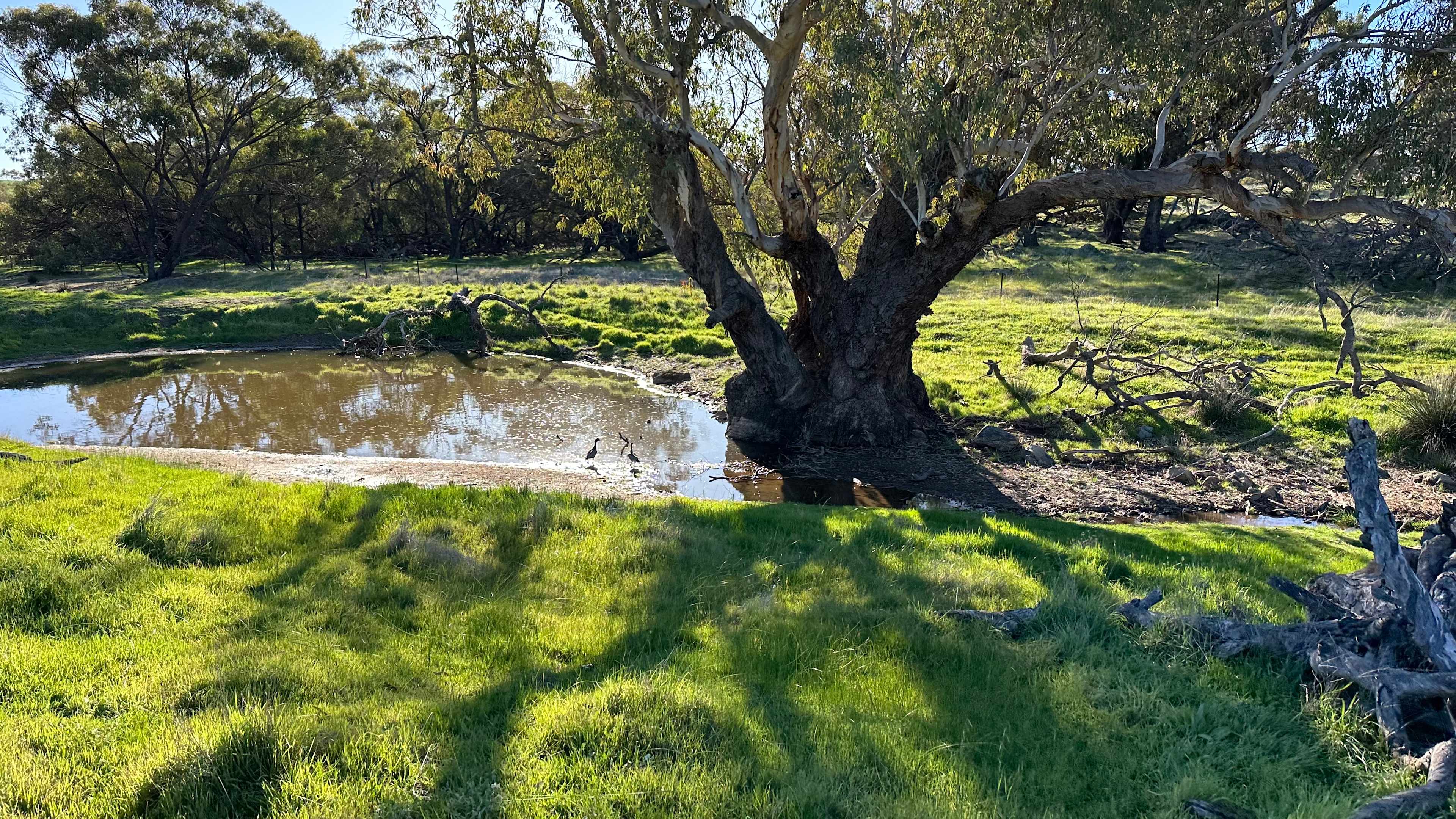 Toowoo Farm
