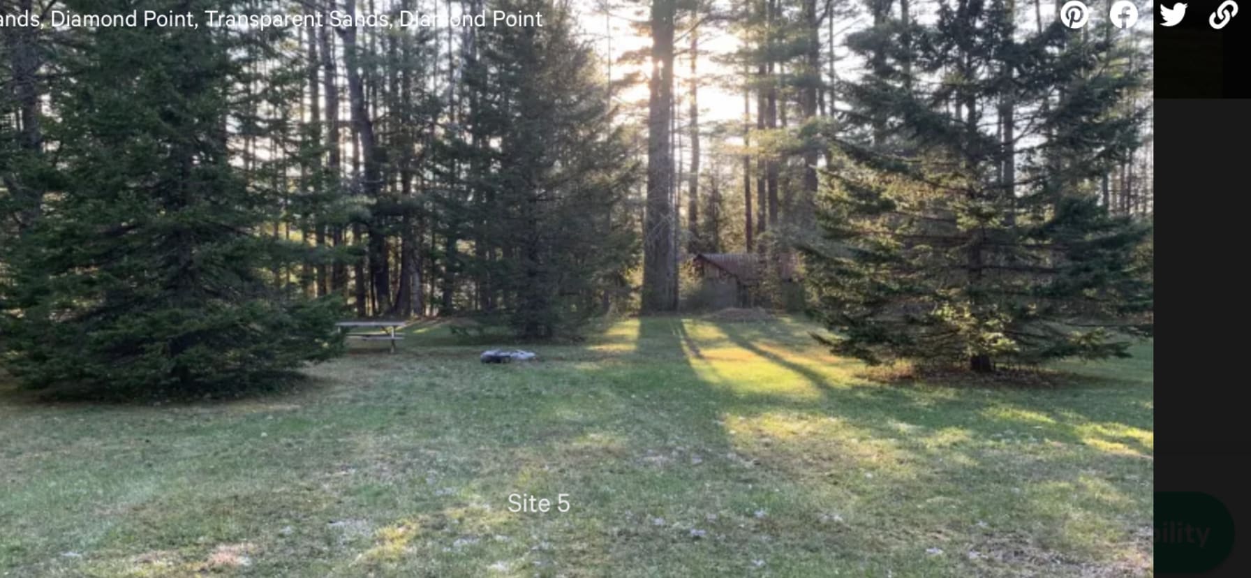Picture of the site