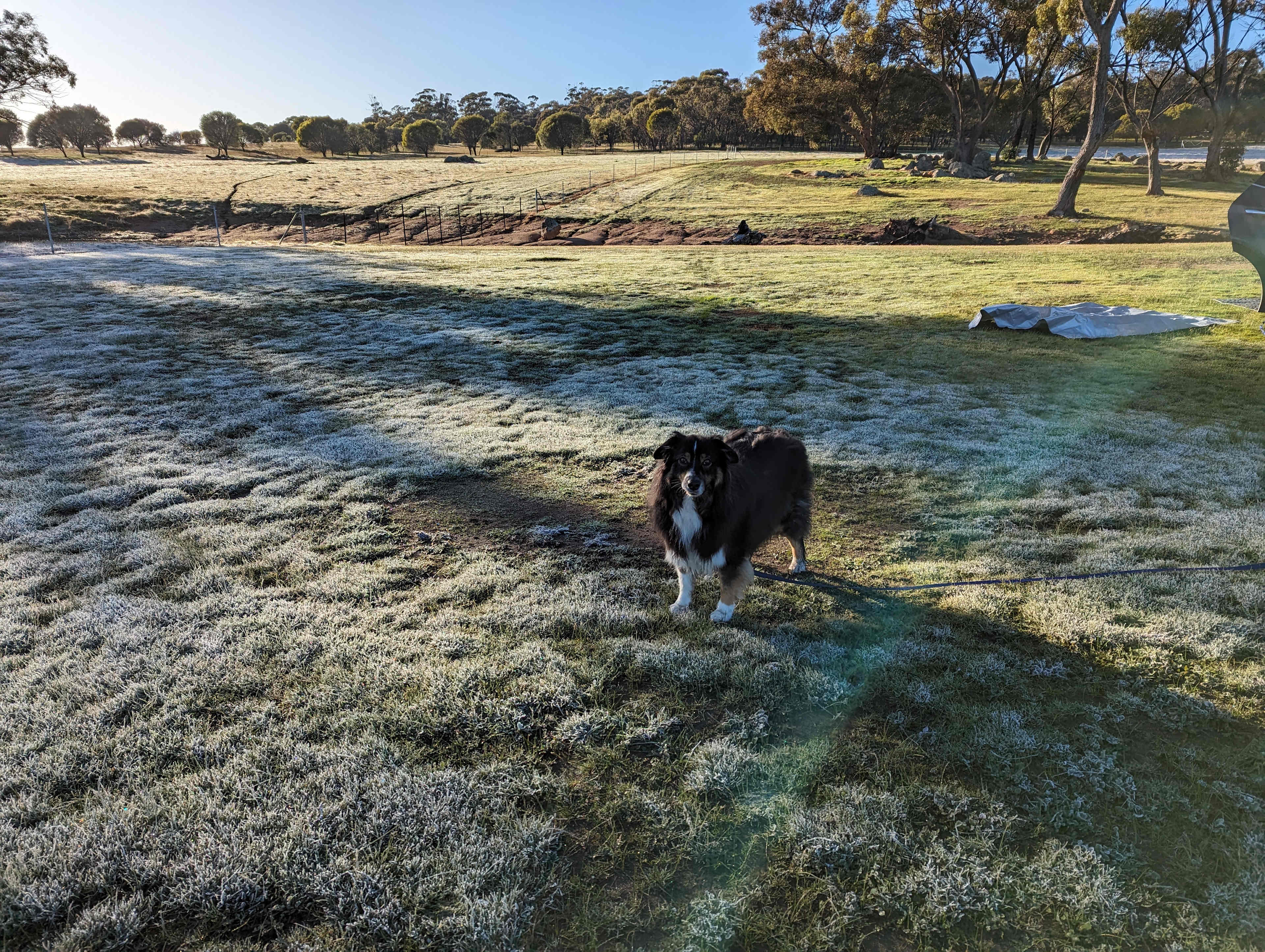 Peaceful Valley Farm
