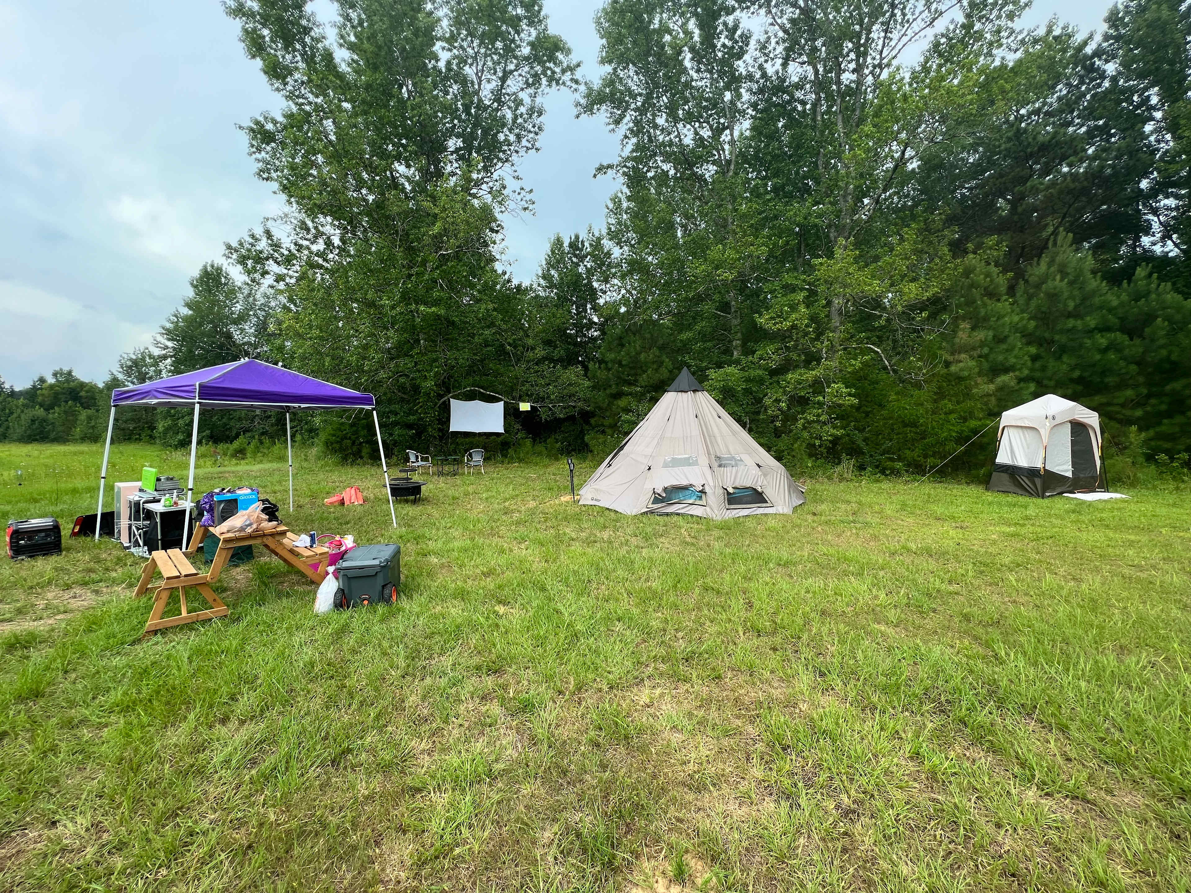 Picture of the site