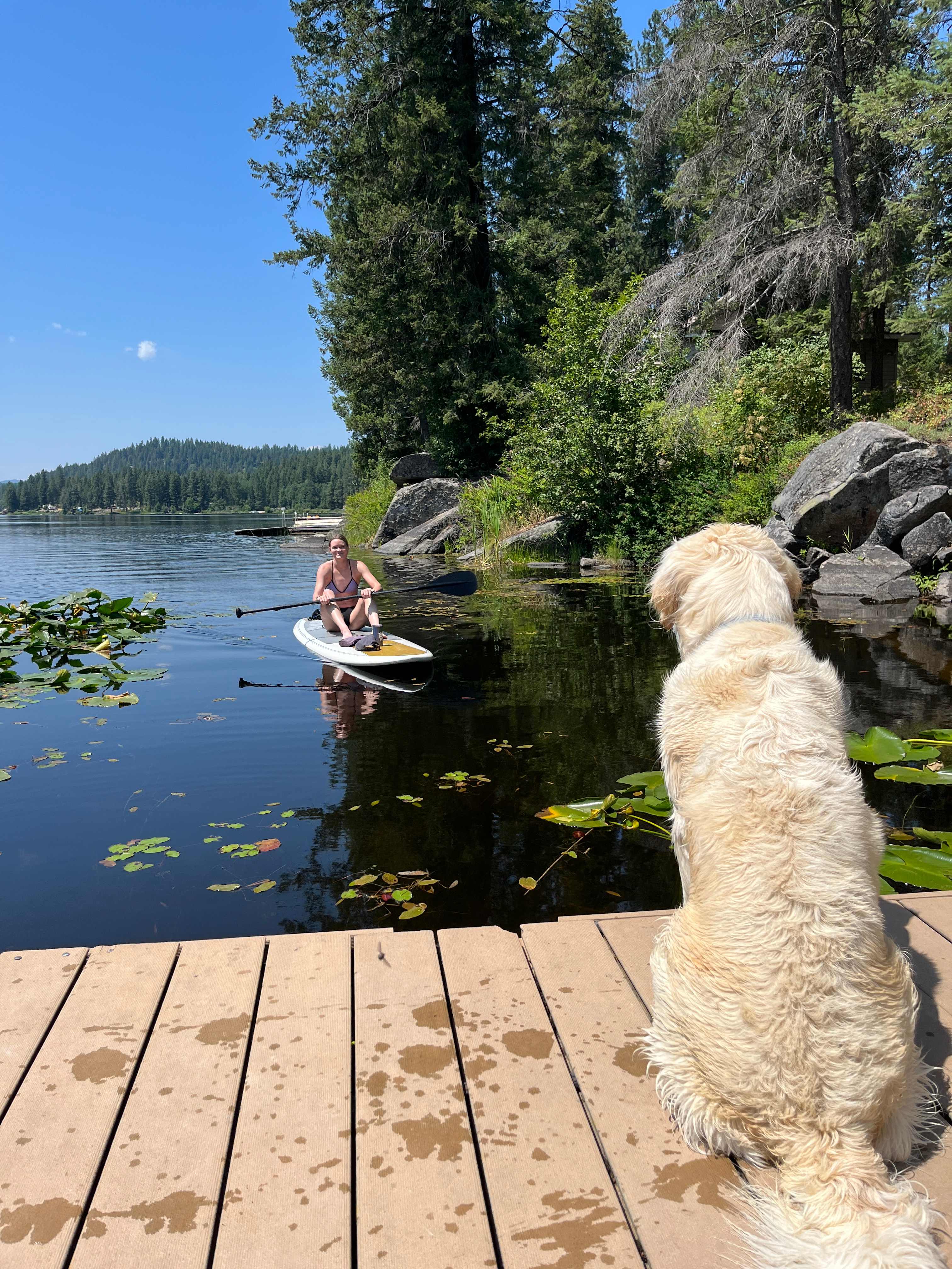 Beaver Bay
