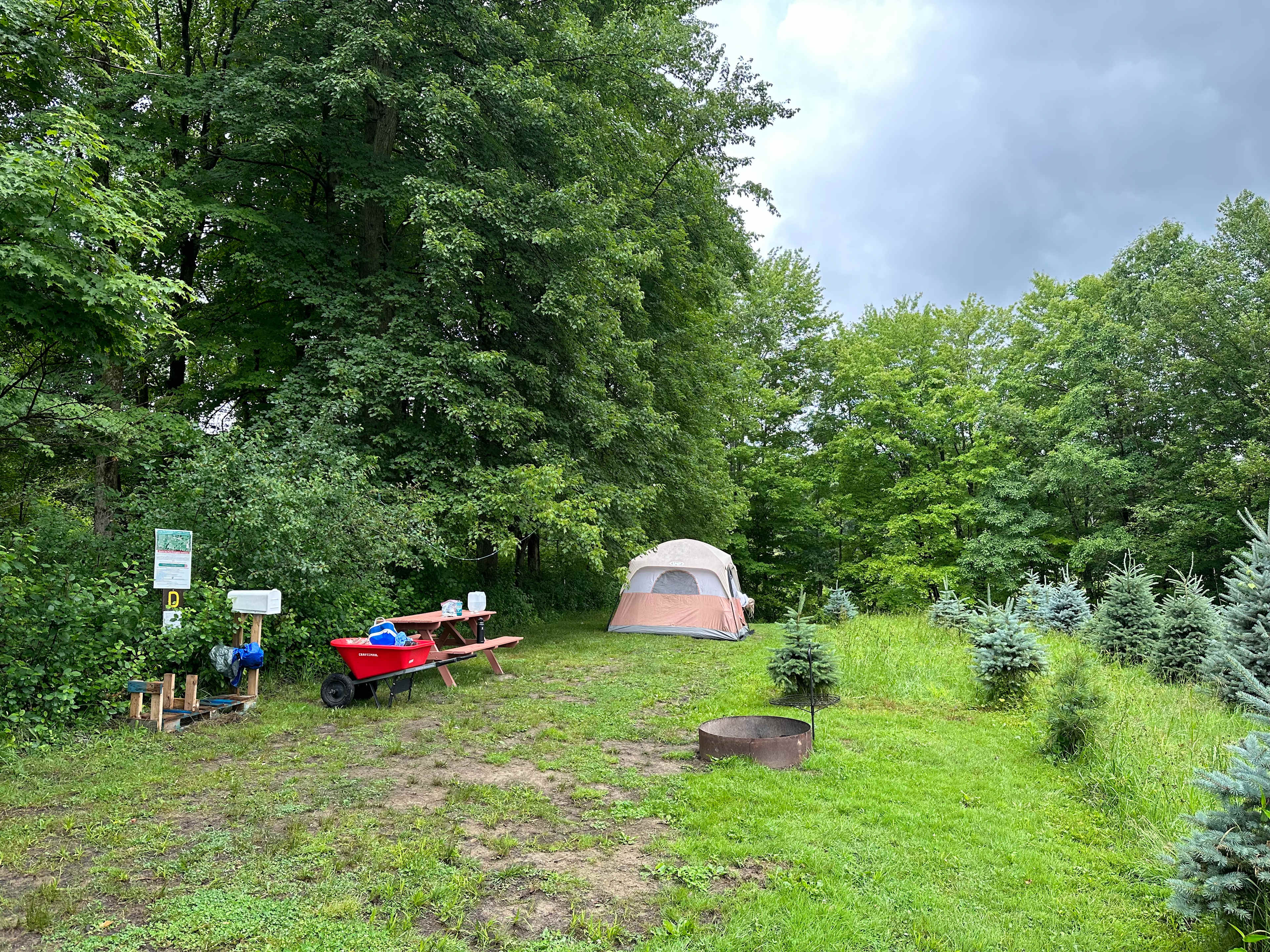 Picture of the site