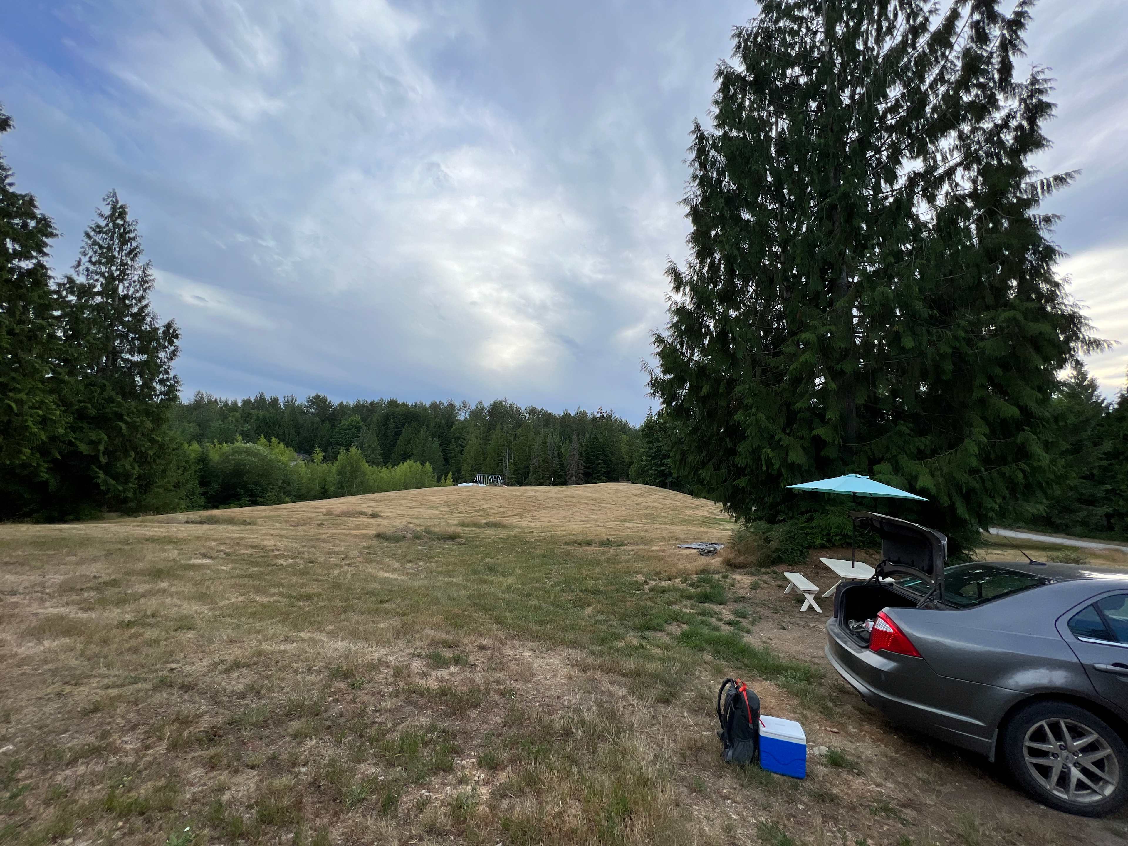 Picture of the site