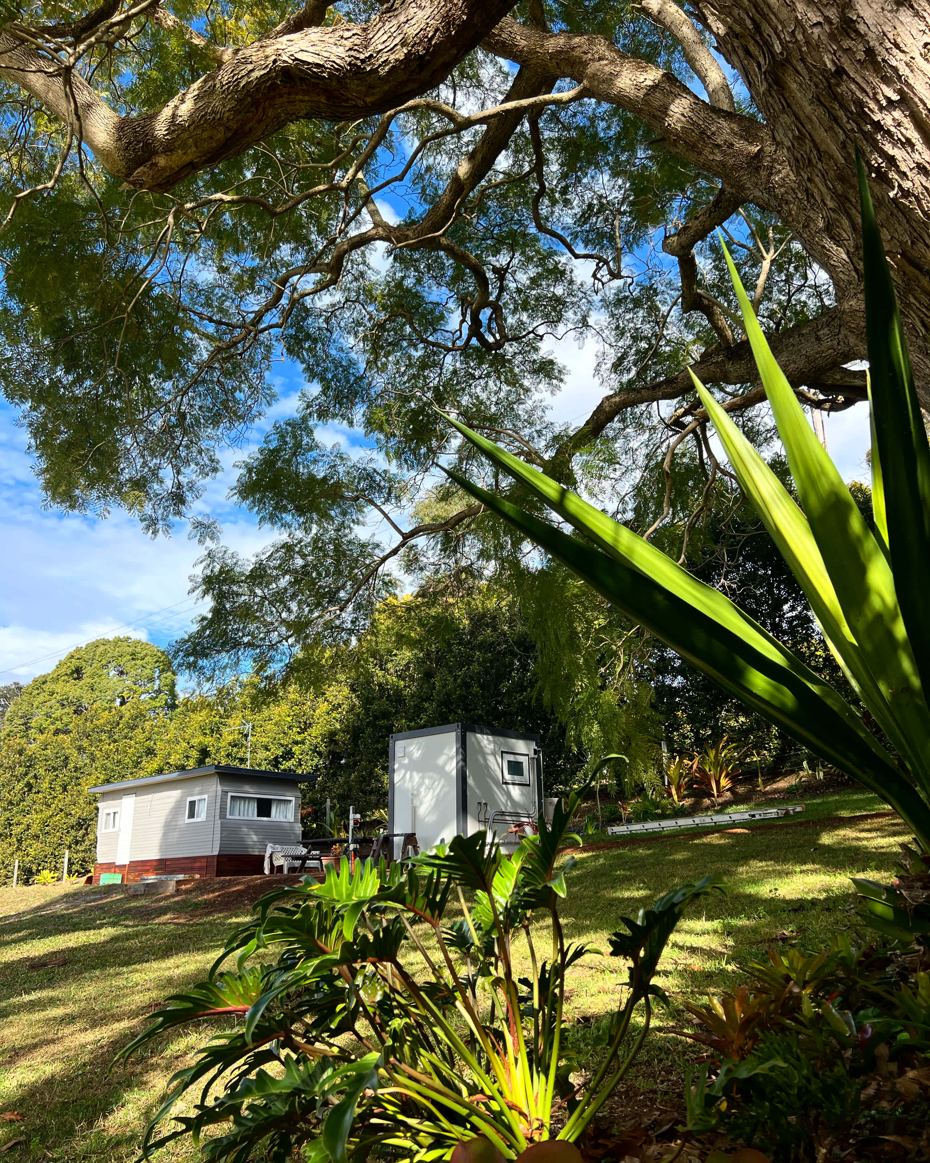 Progress photo! - site location is on our beautiful 5 acre property just outside of Coffs Harbour CBD. 