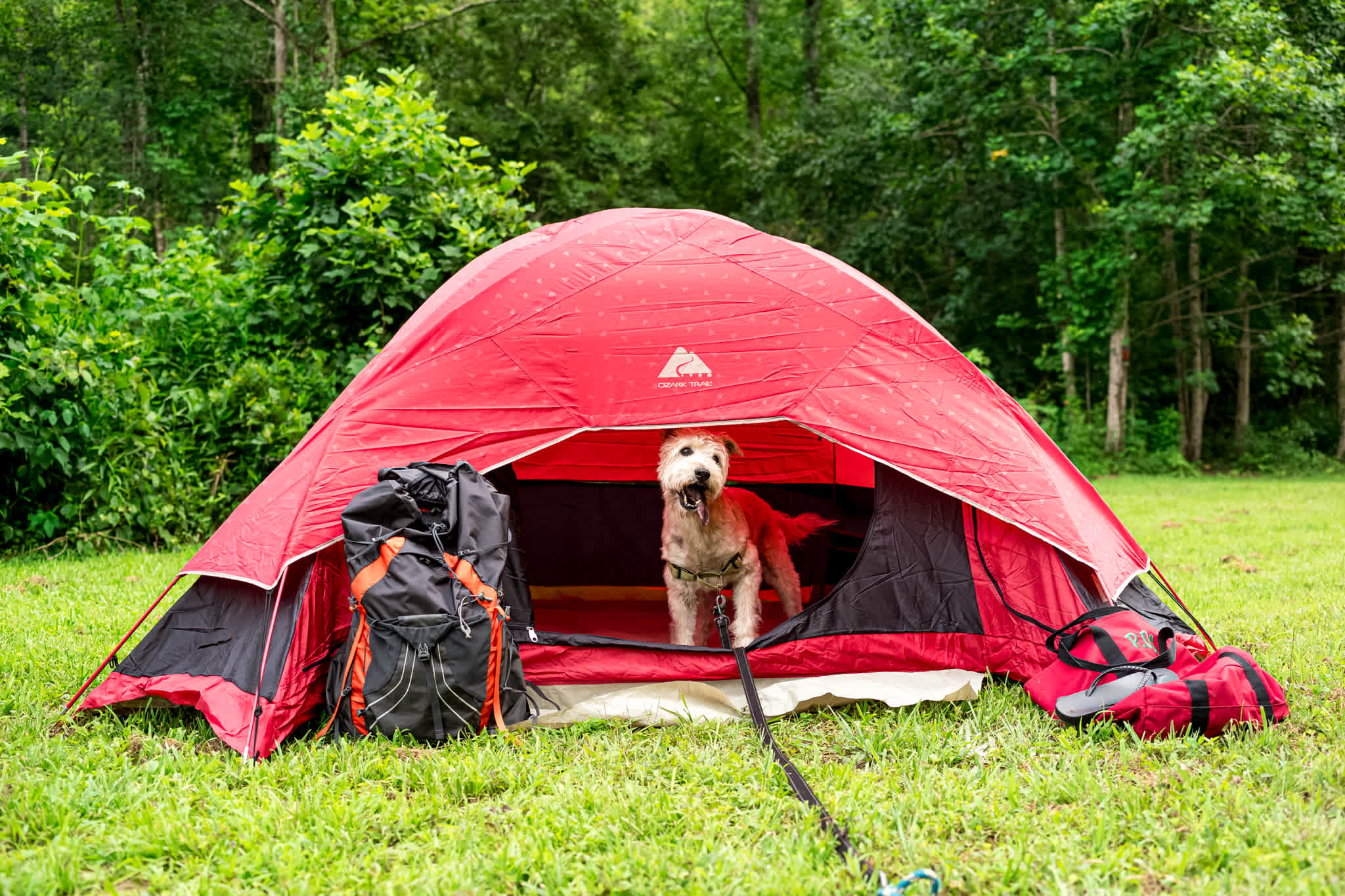 Bigfoot Brook Campground