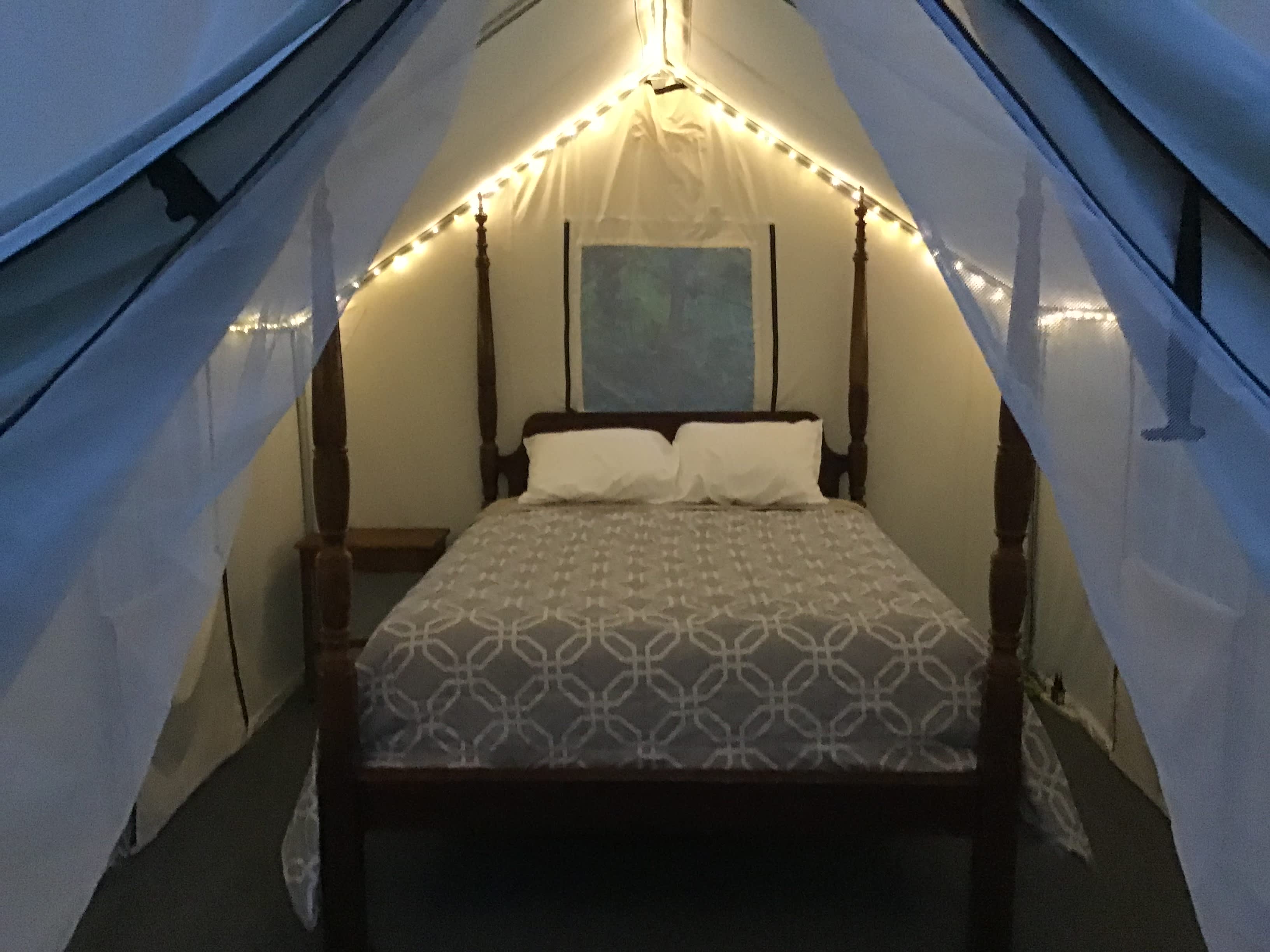 Forest and River Glamping Refuge