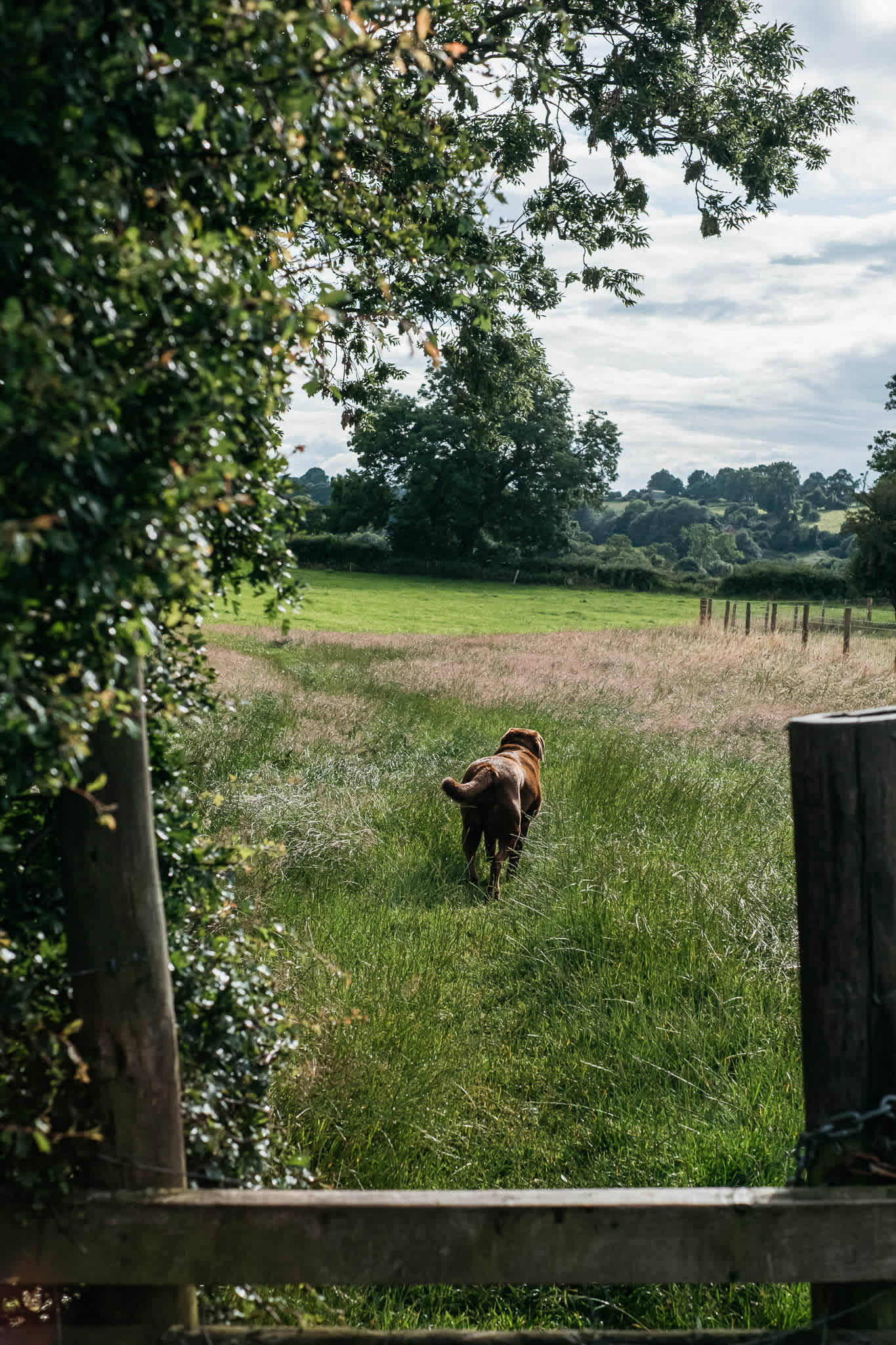 Lots of tranquil walks right from the campsite