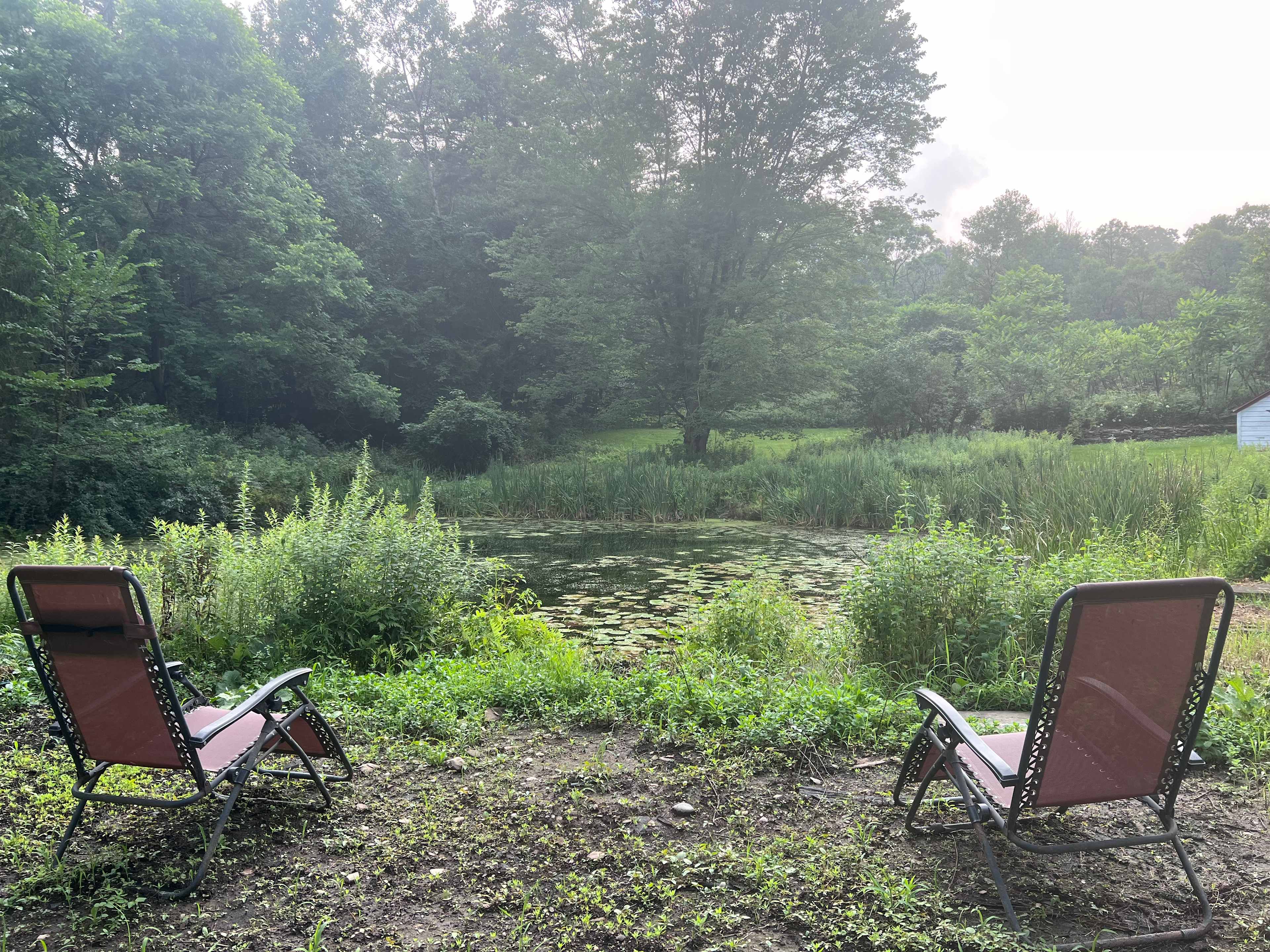 Naturerest