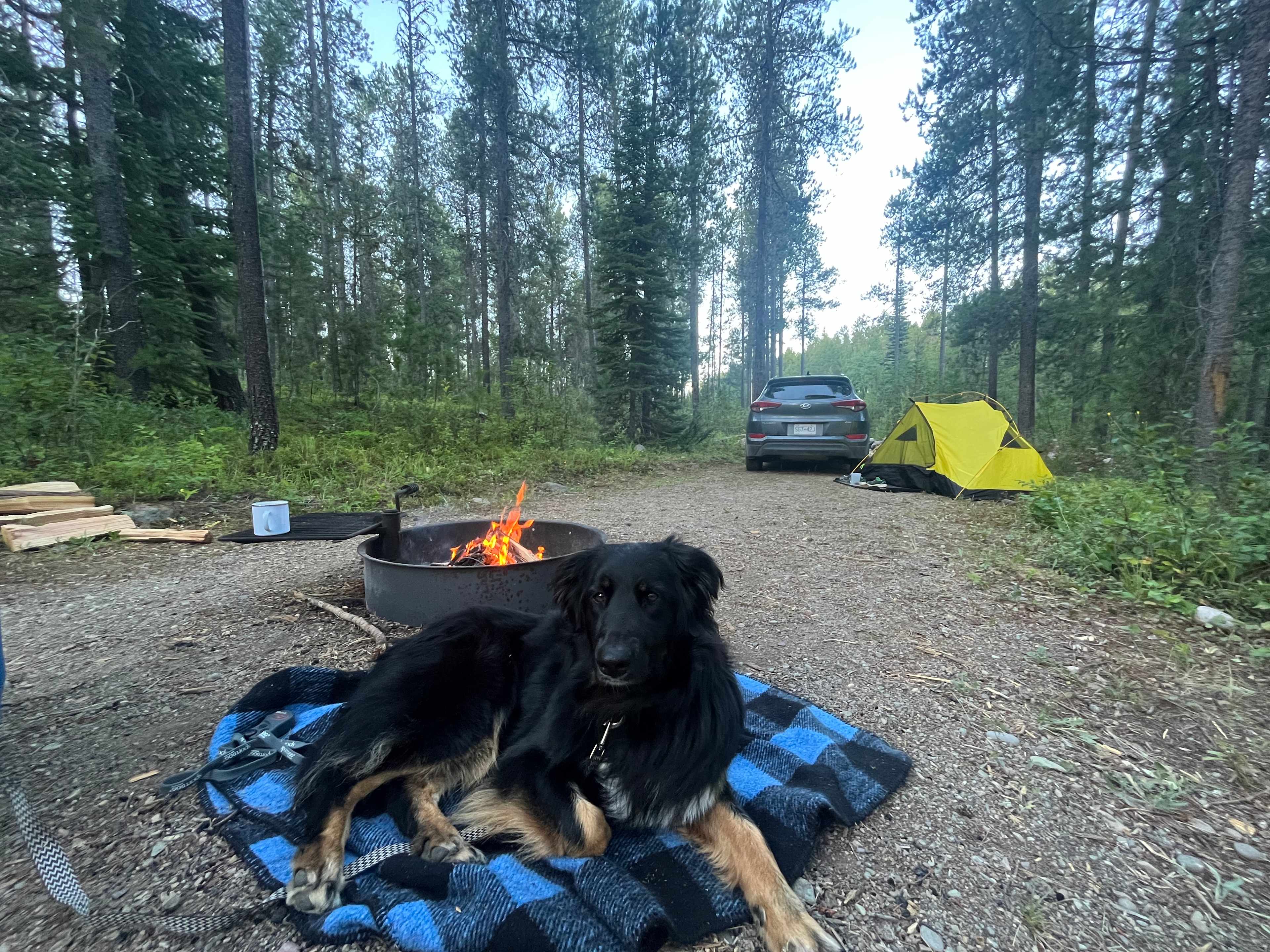 Glacier Park RV