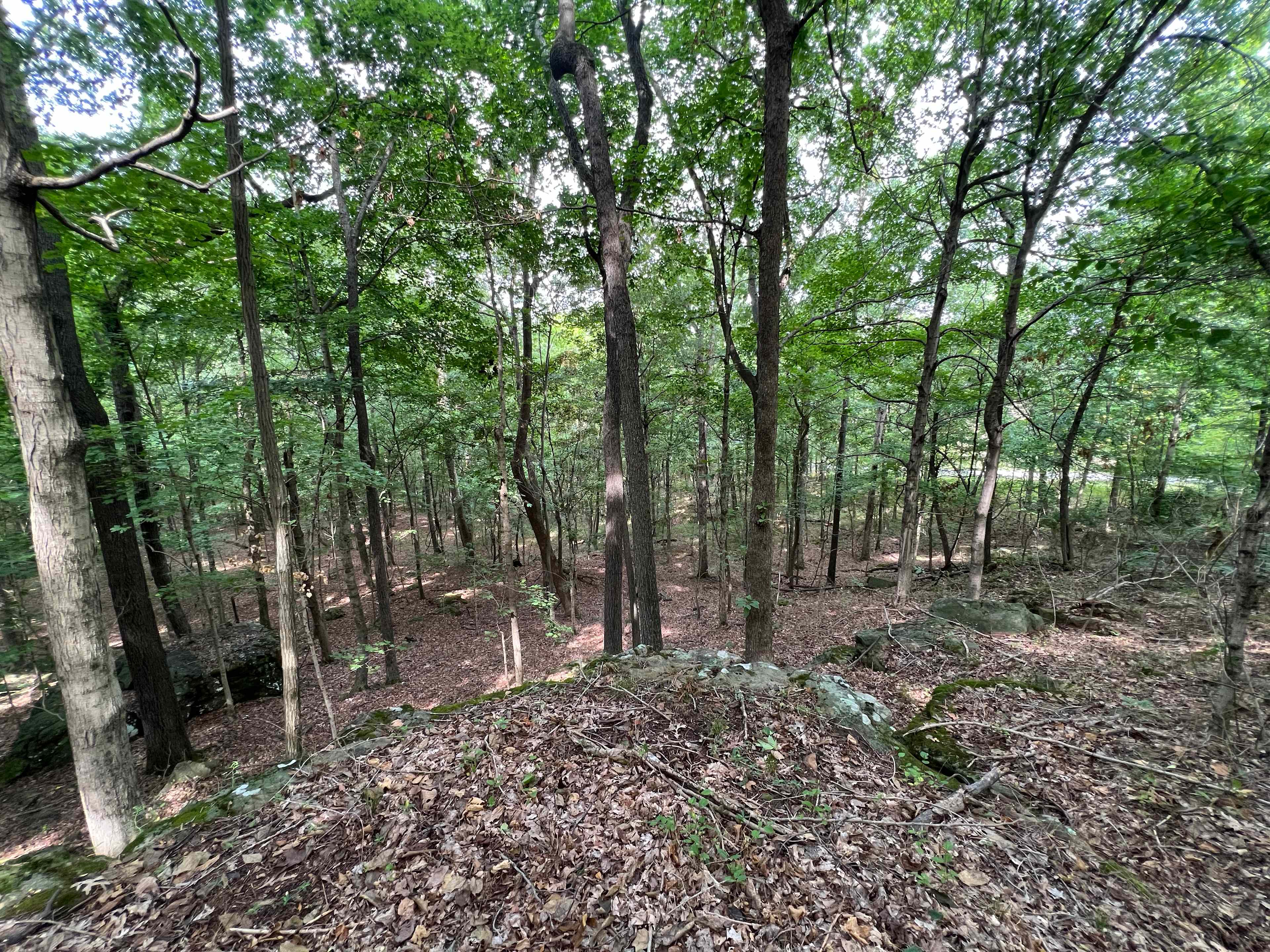 Hidden Bluff Primitive Camp