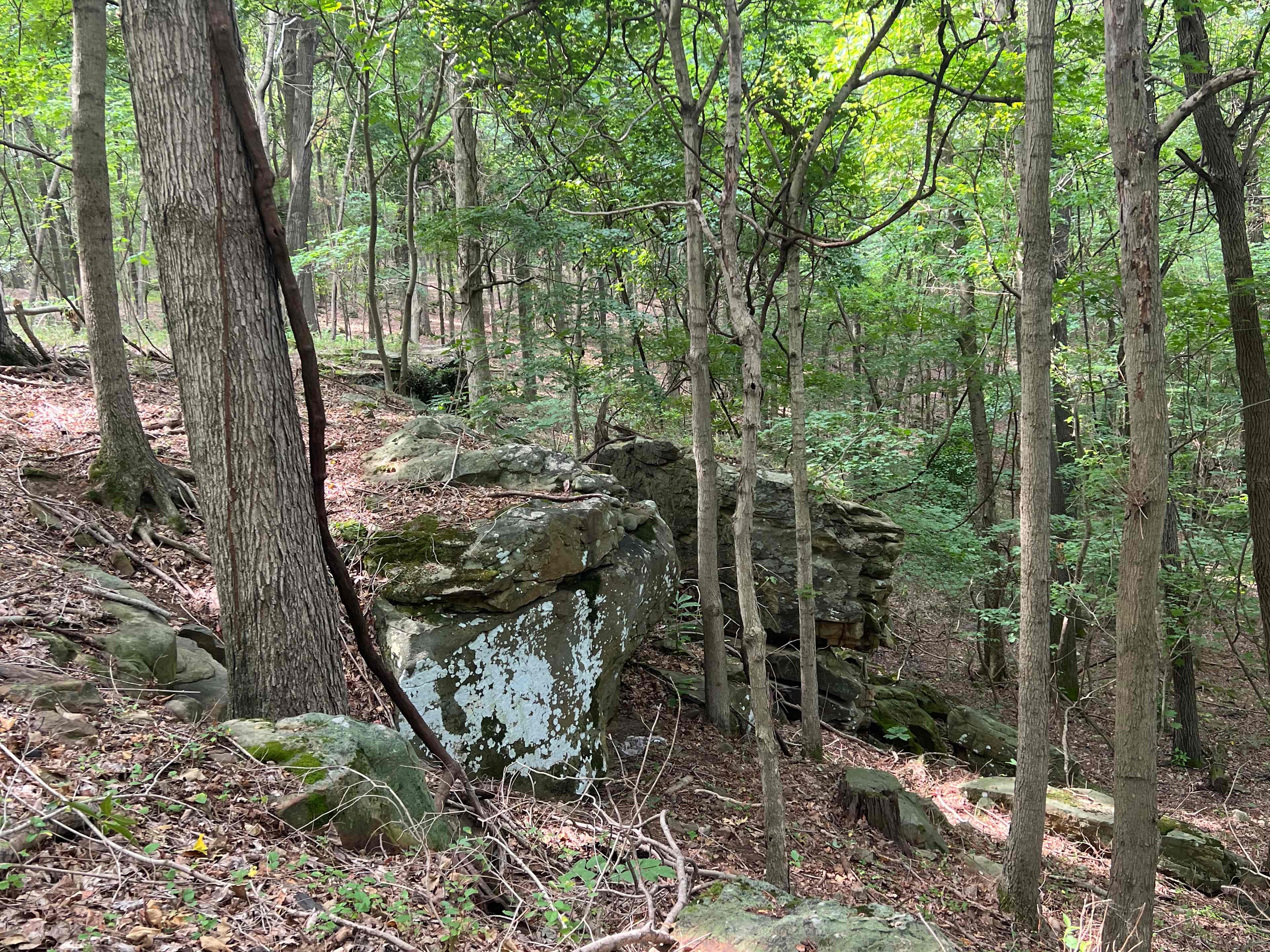 The hidden bluff