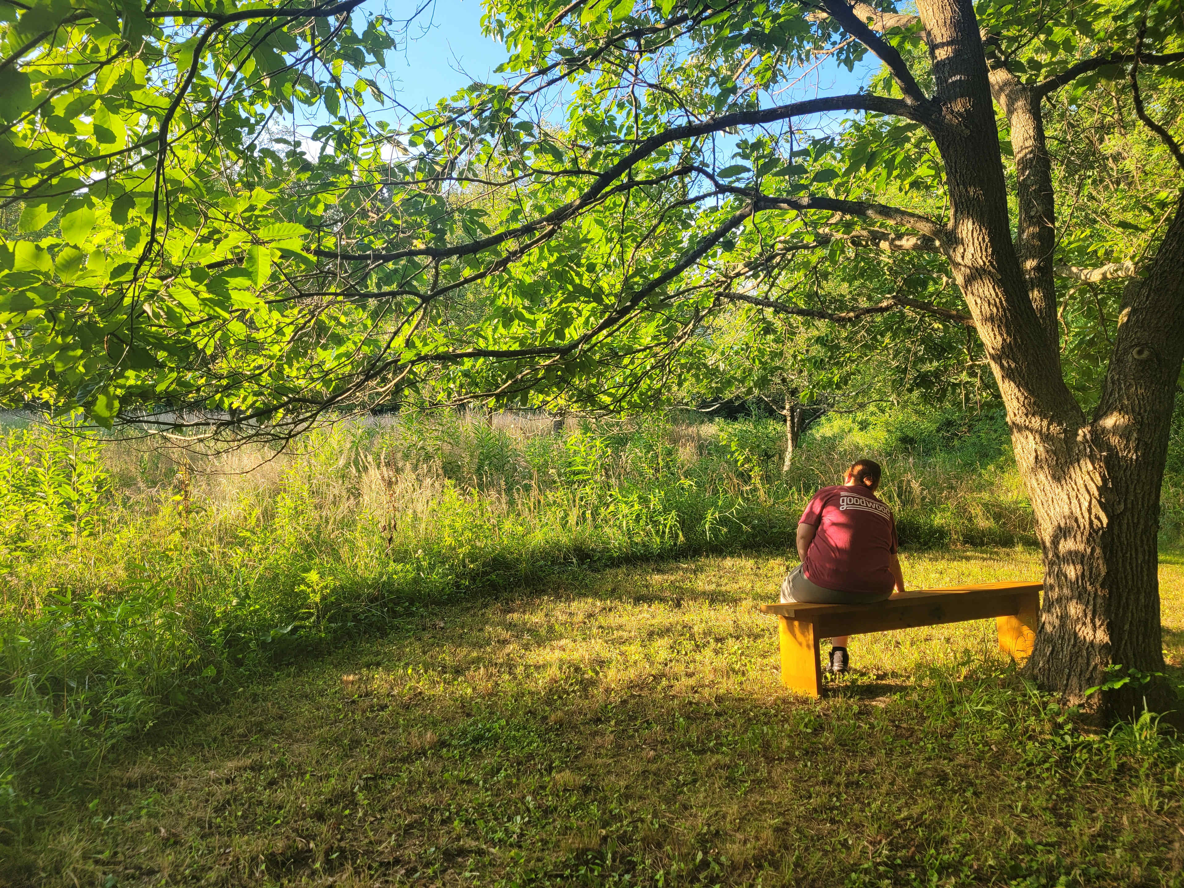 Hammerie Farm Garden Camping