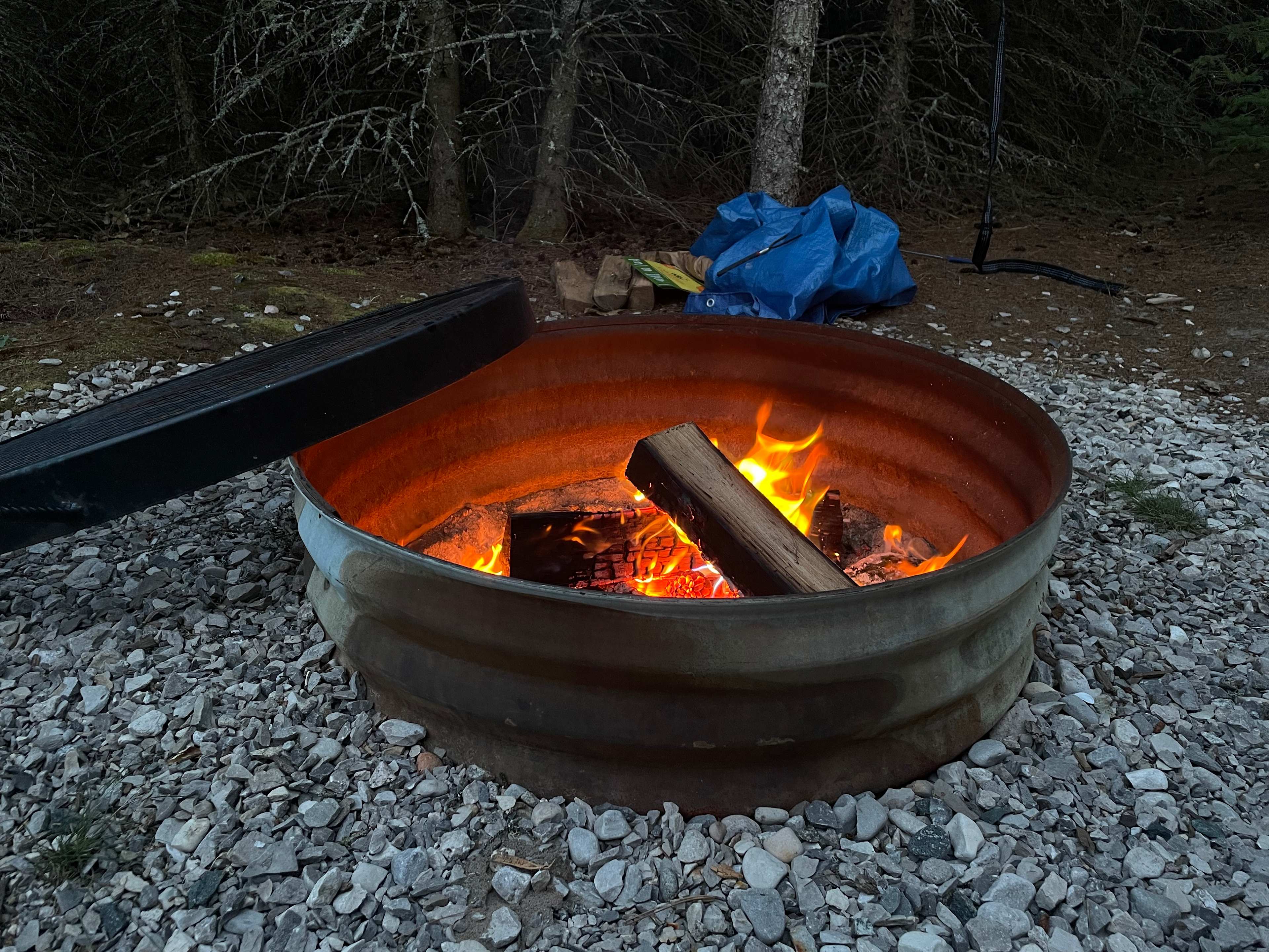 Picture of the site
