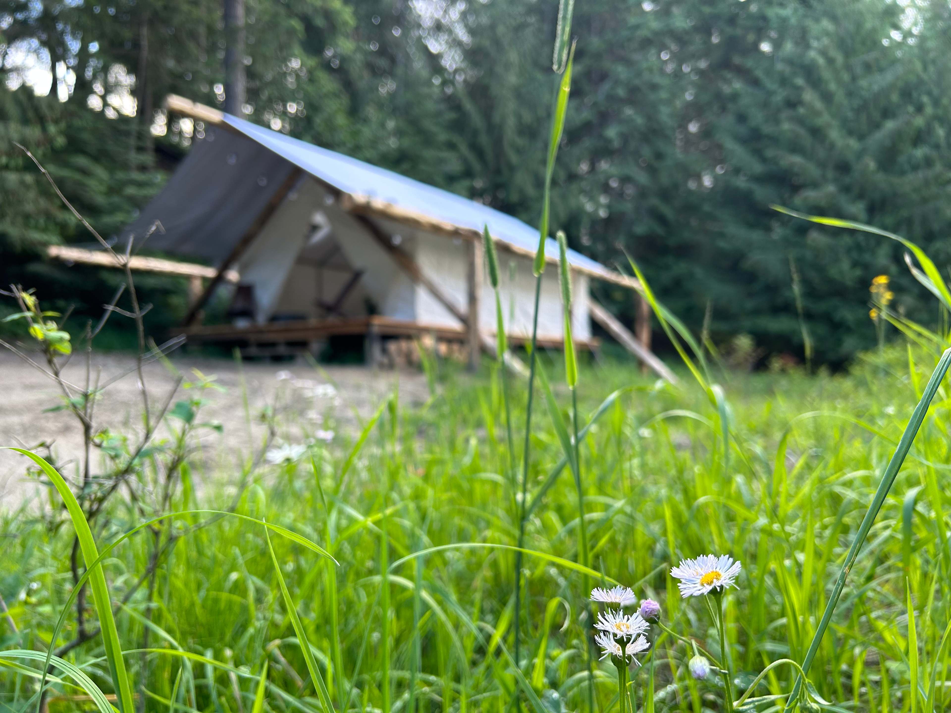 Hymas Family Farm Stay