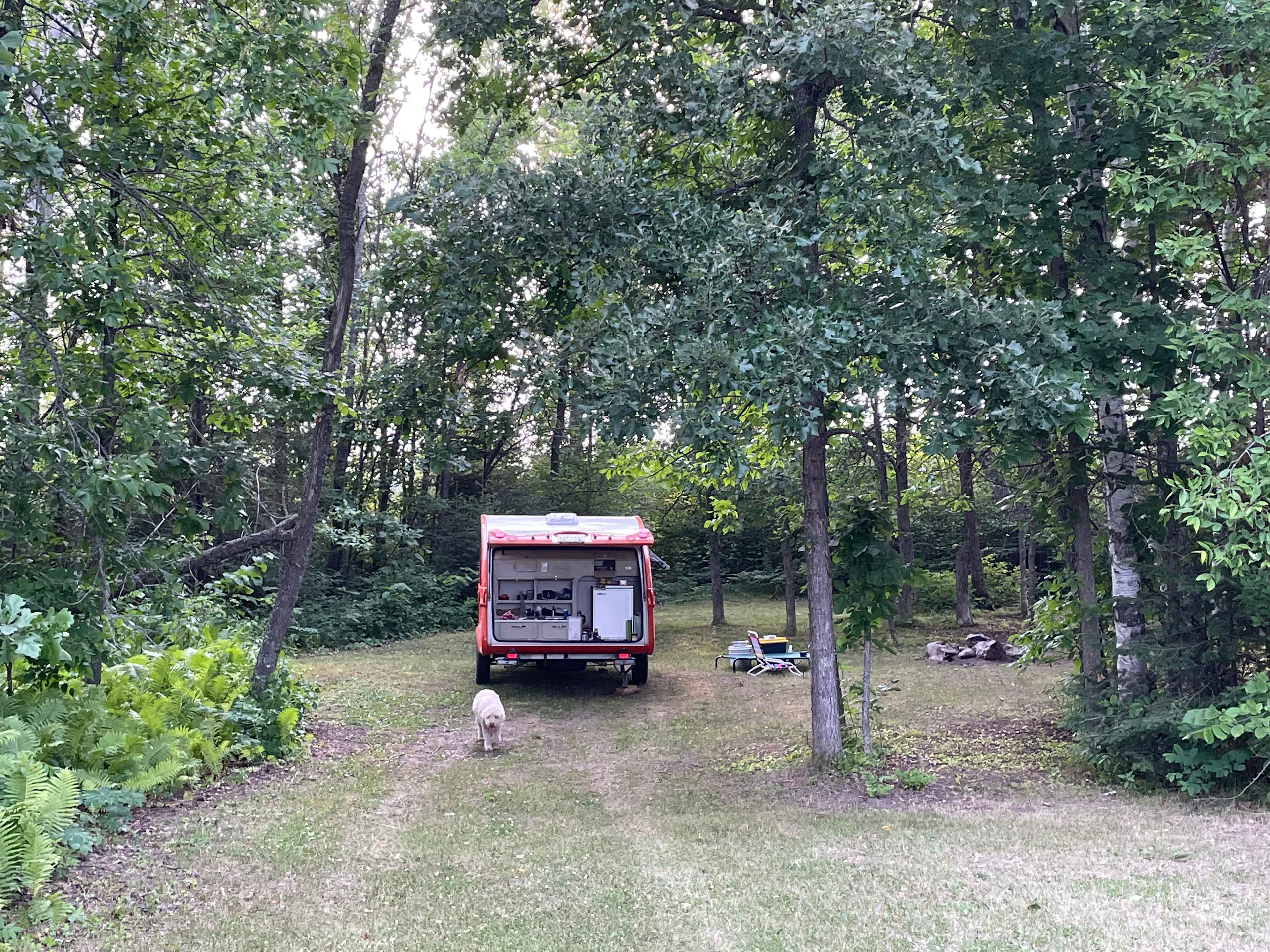 Picture of the site
