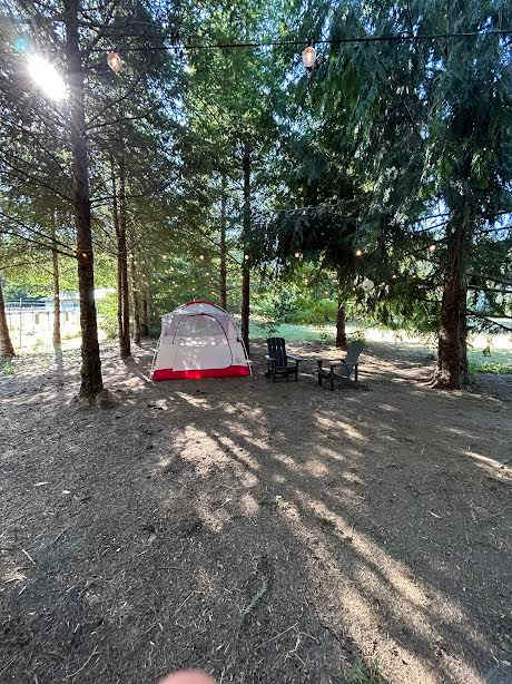 Fernwood Retreat At Bloom Hill