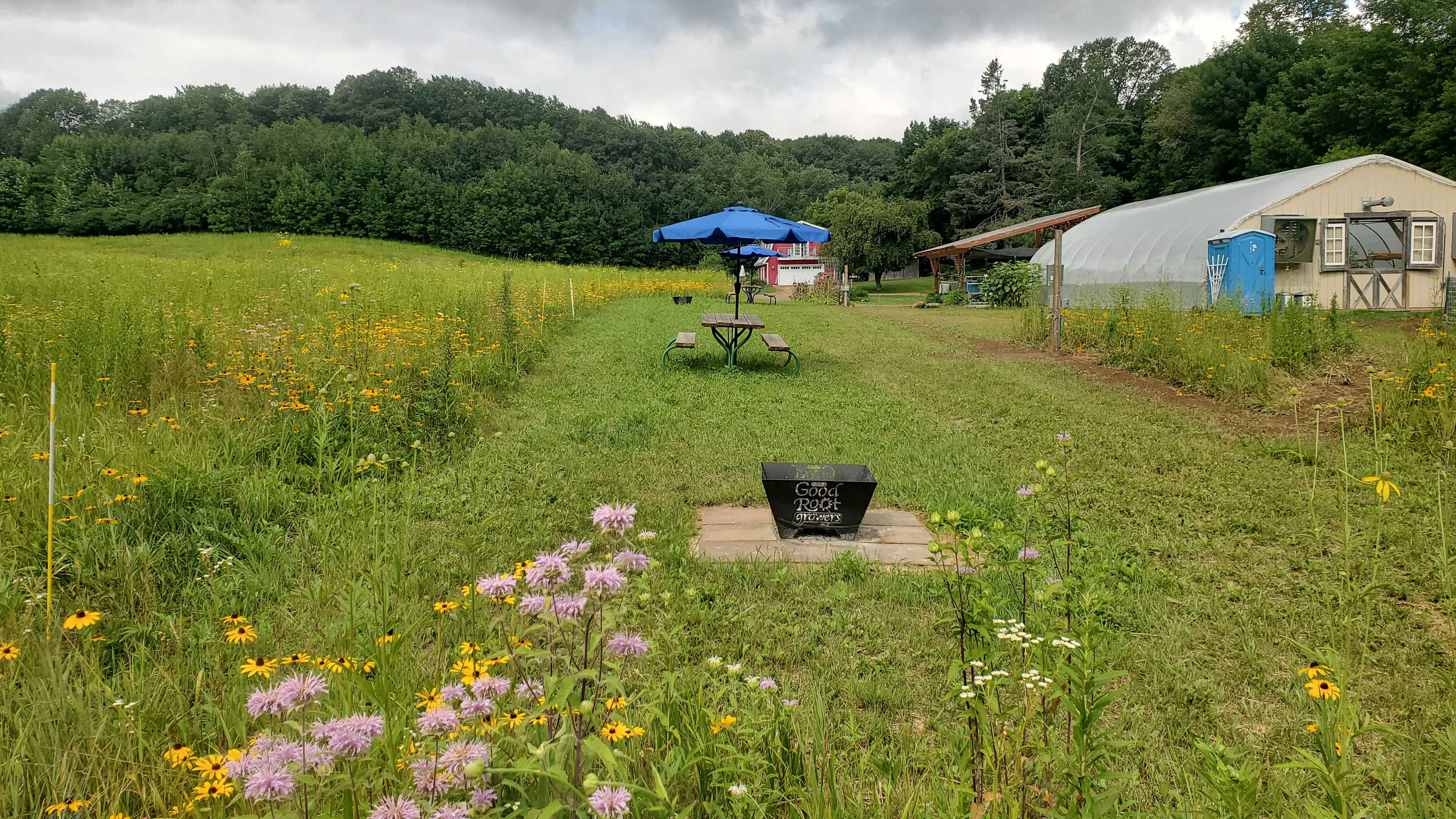 Picture of the site
