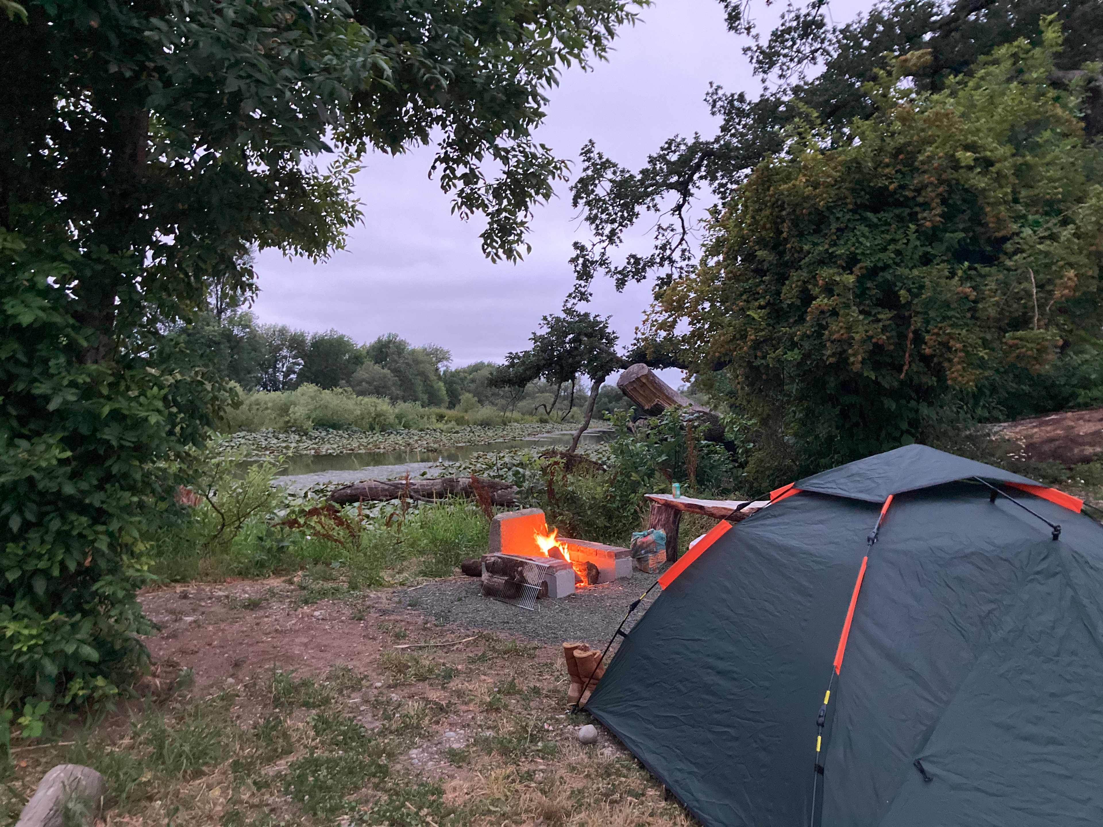 Camp Birdwatch