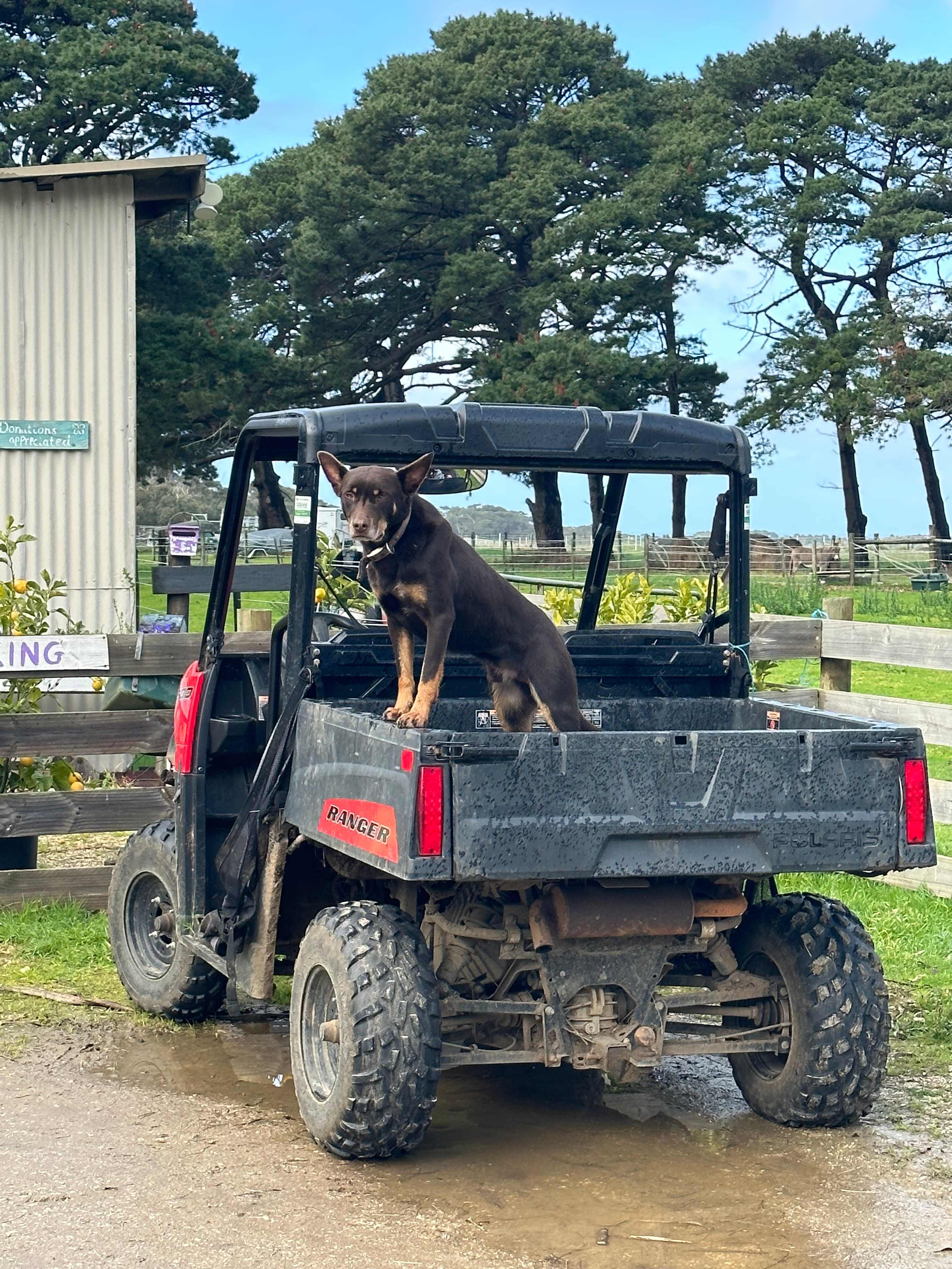 Coastal Farm Camp
