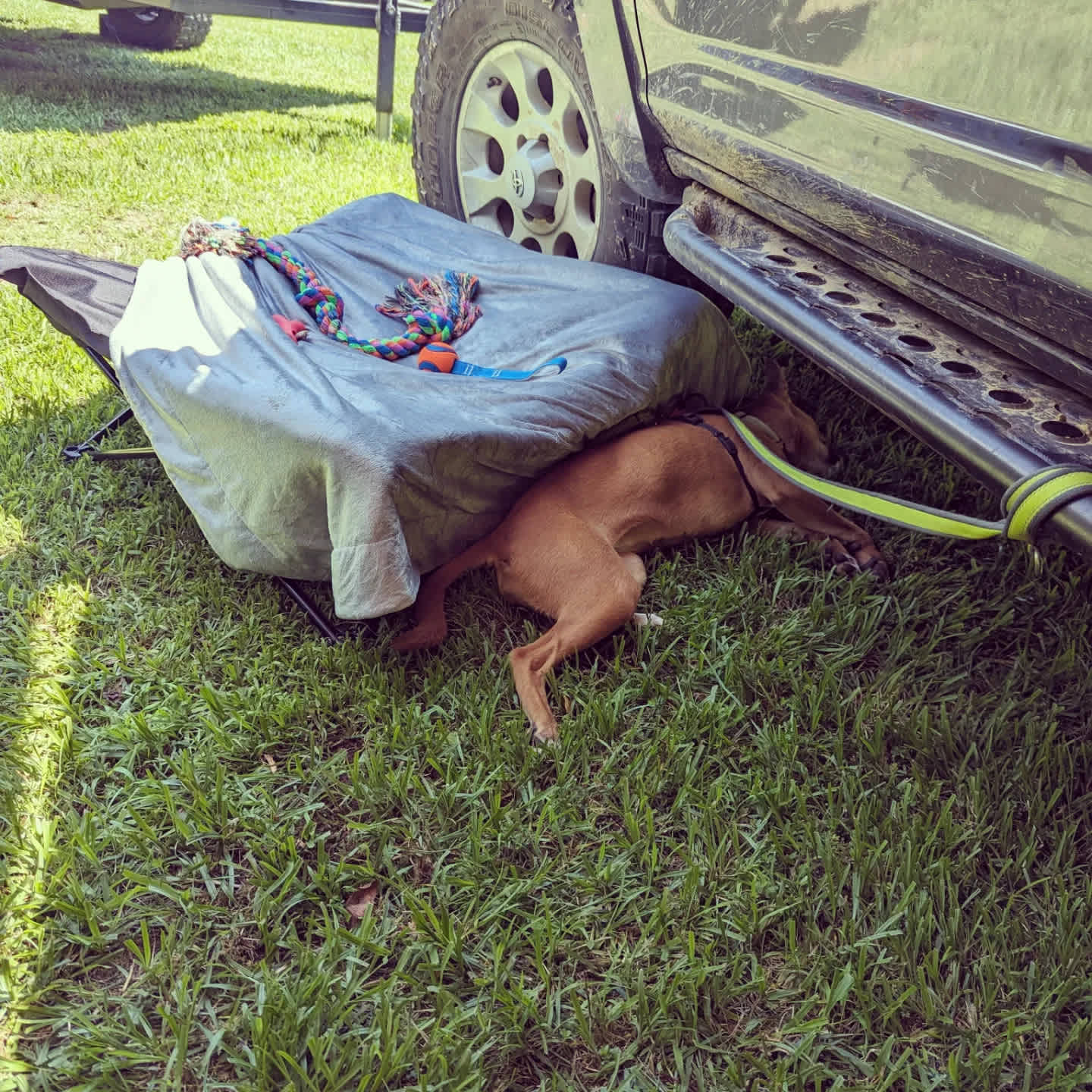 Hot pupper