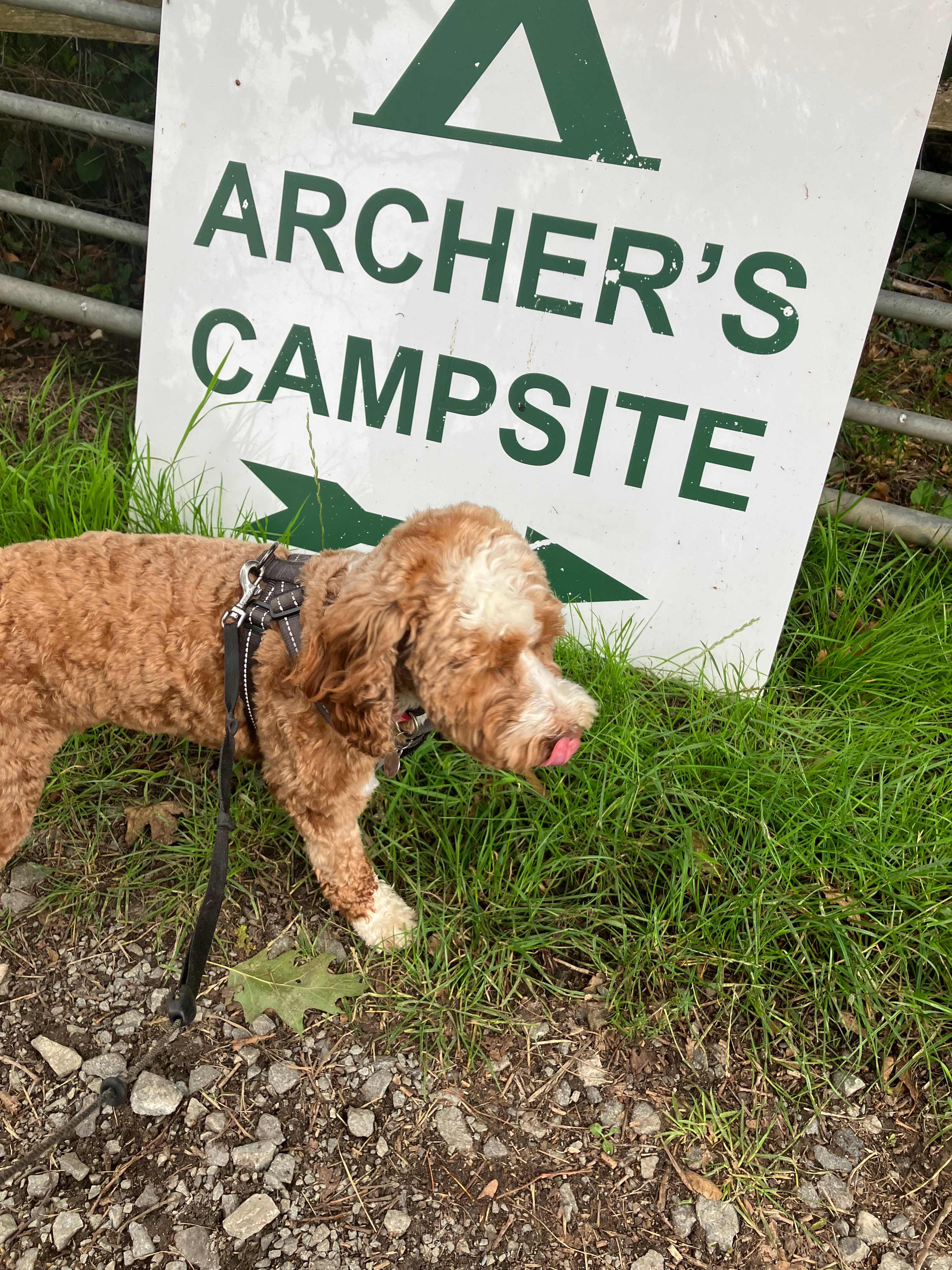 Archer’s Field