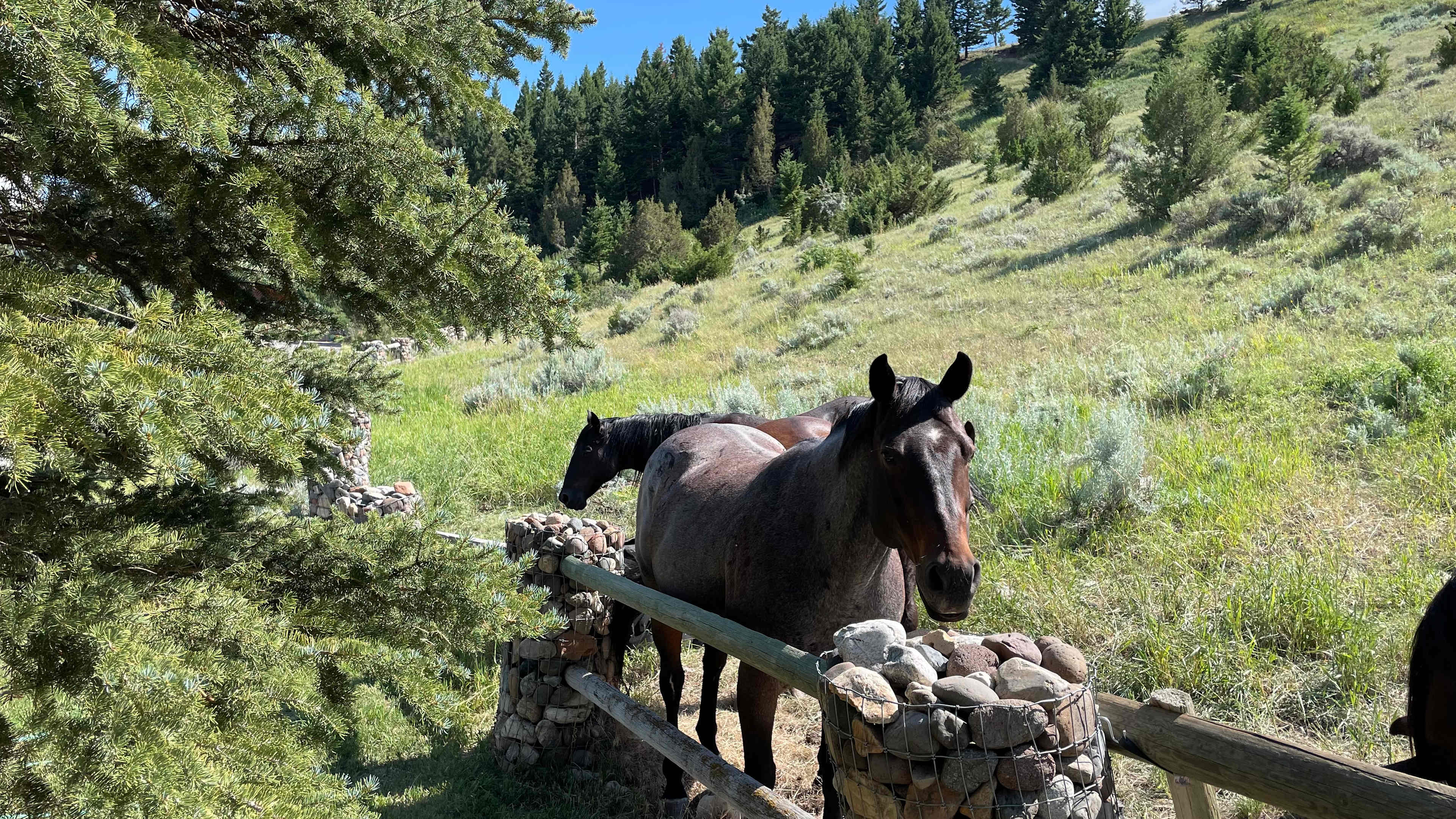 Wineglass Ranch